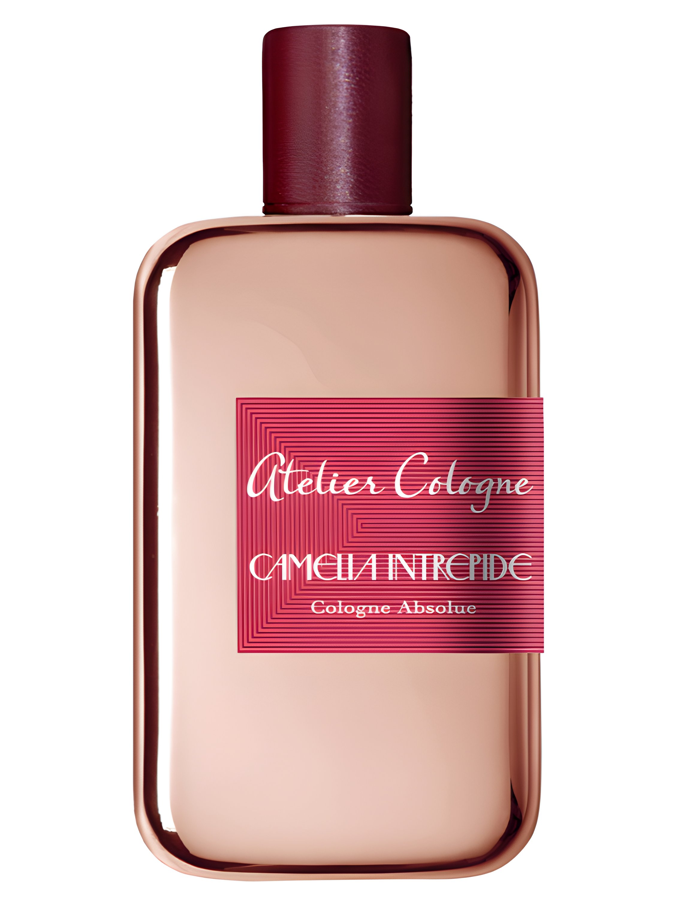 Picture of Camelia Intrepide fragrance