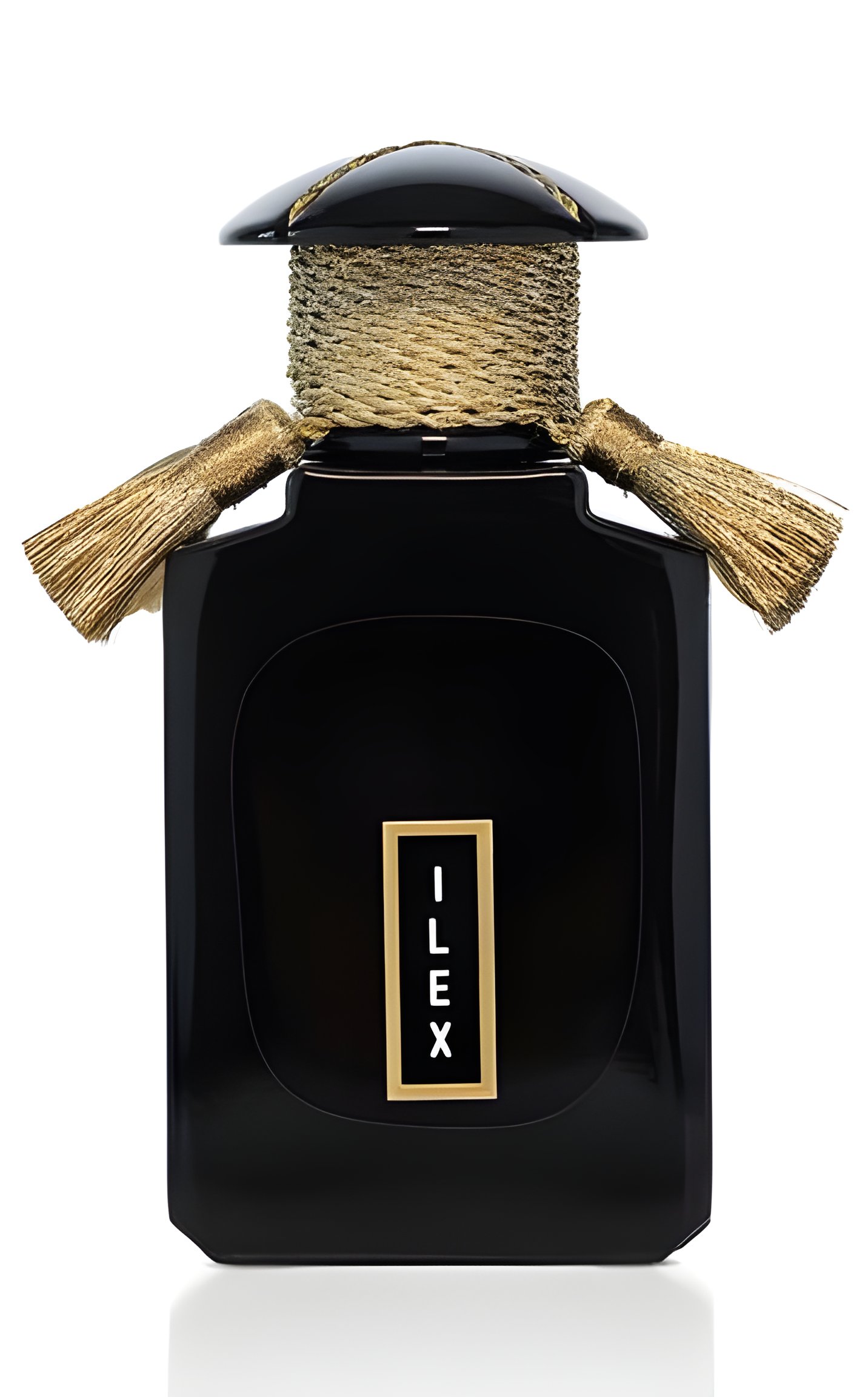 Picture of Ilex fragrance