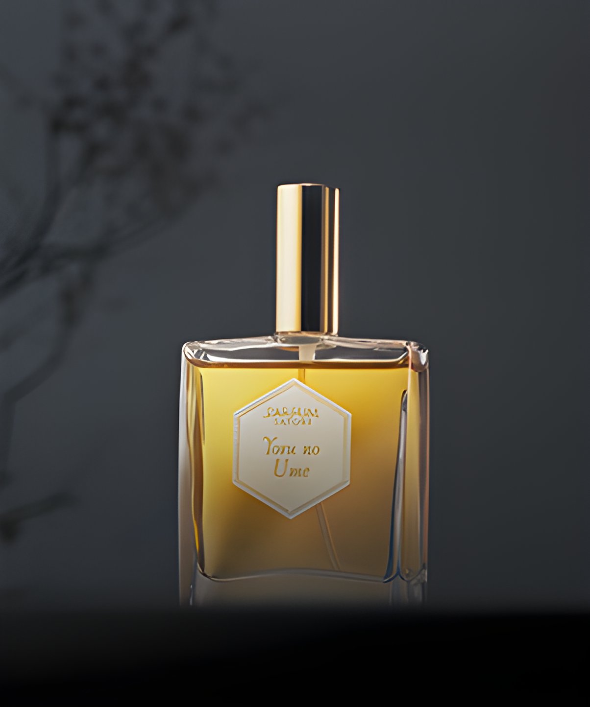 Picture of Yoru No Ume fragrance