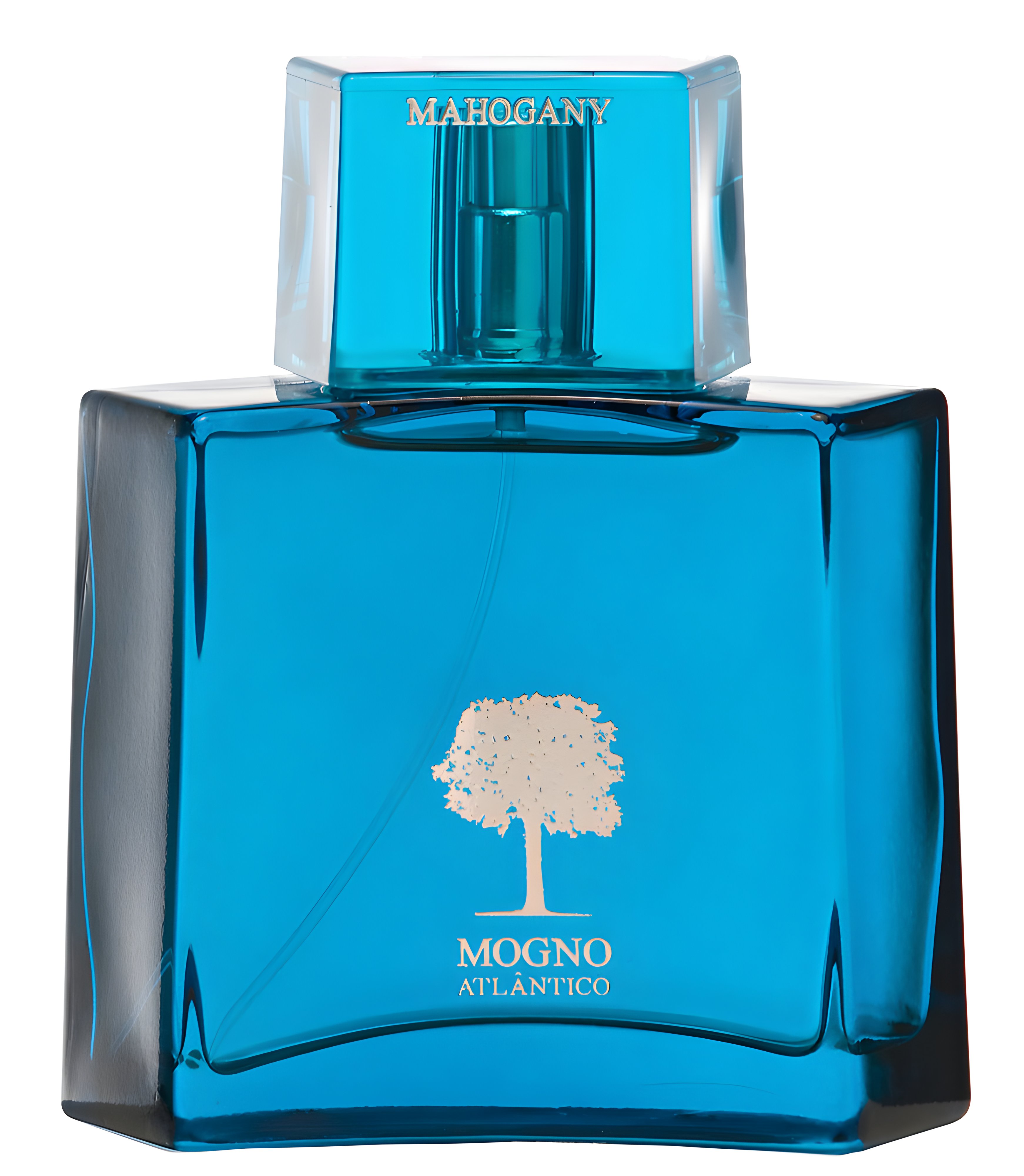 Picture of Mogno Atlântico fragrance