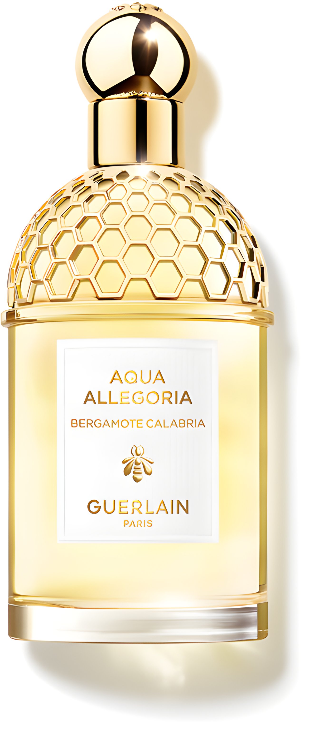 Picture of Aqua Allegoria Bergamote Calabria fragrance