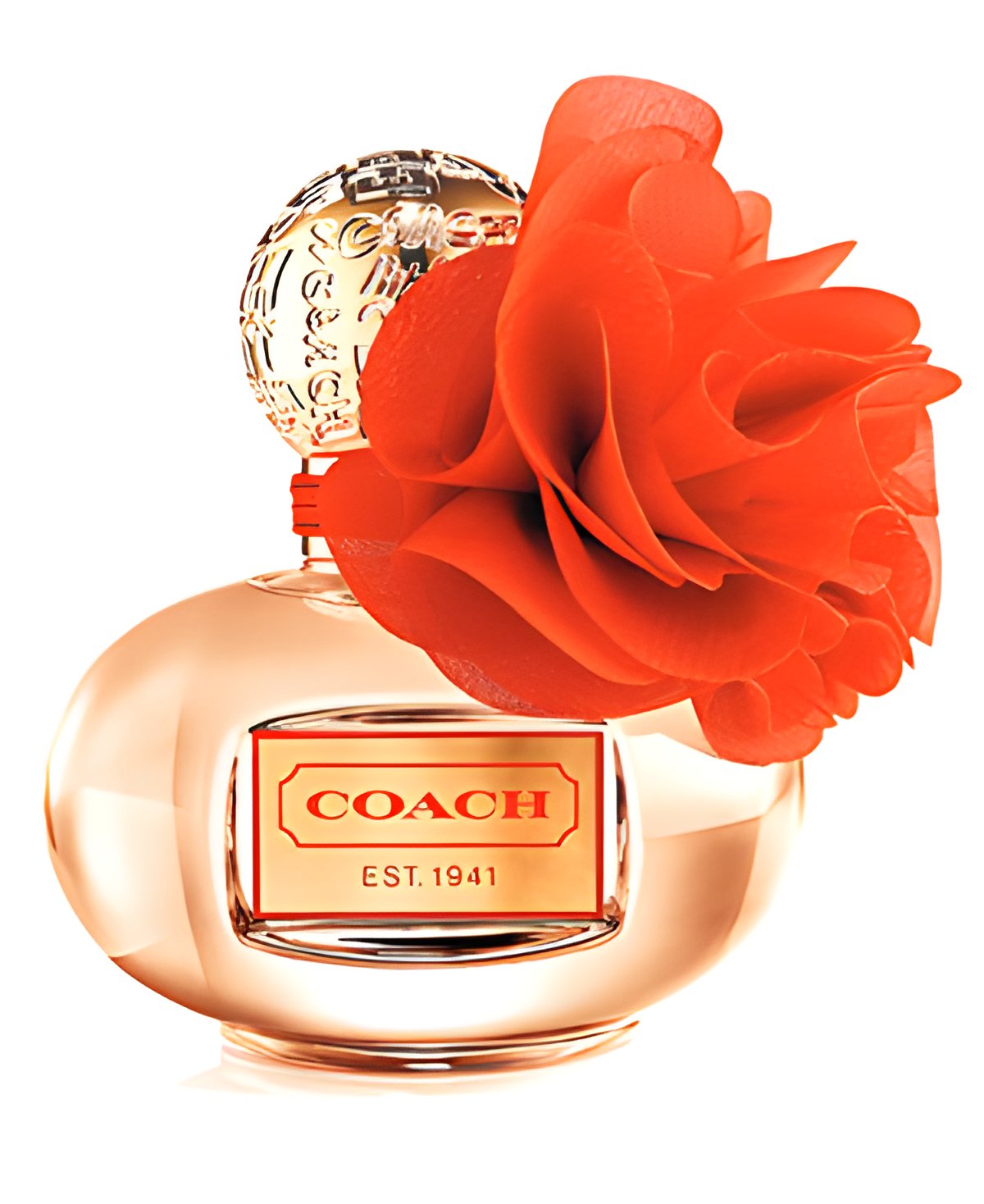 Picture of Coach Poppy Blossom fragrance