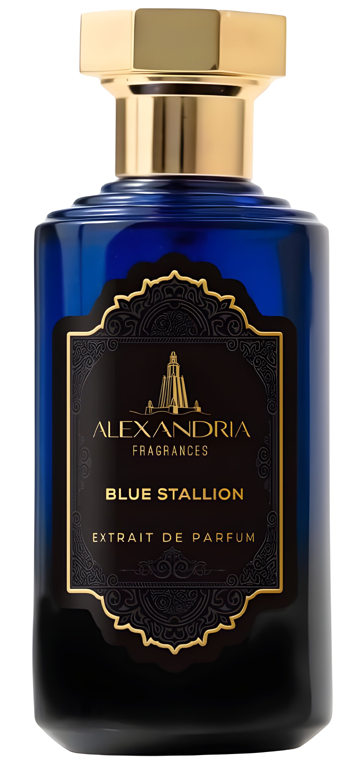 Picture of Blue Stallion fragrance