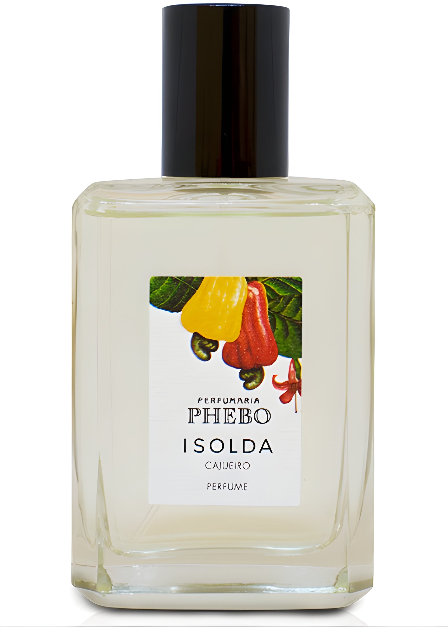 Picture of Isolda Cajueiro fragrance