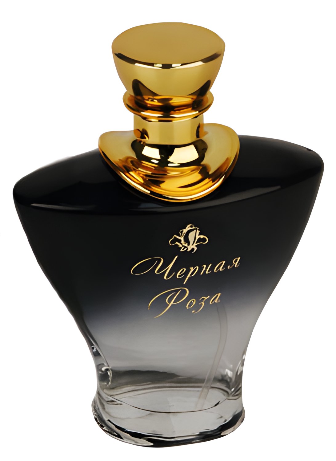 Picture of Black Rose (Черная Роза) fragrance