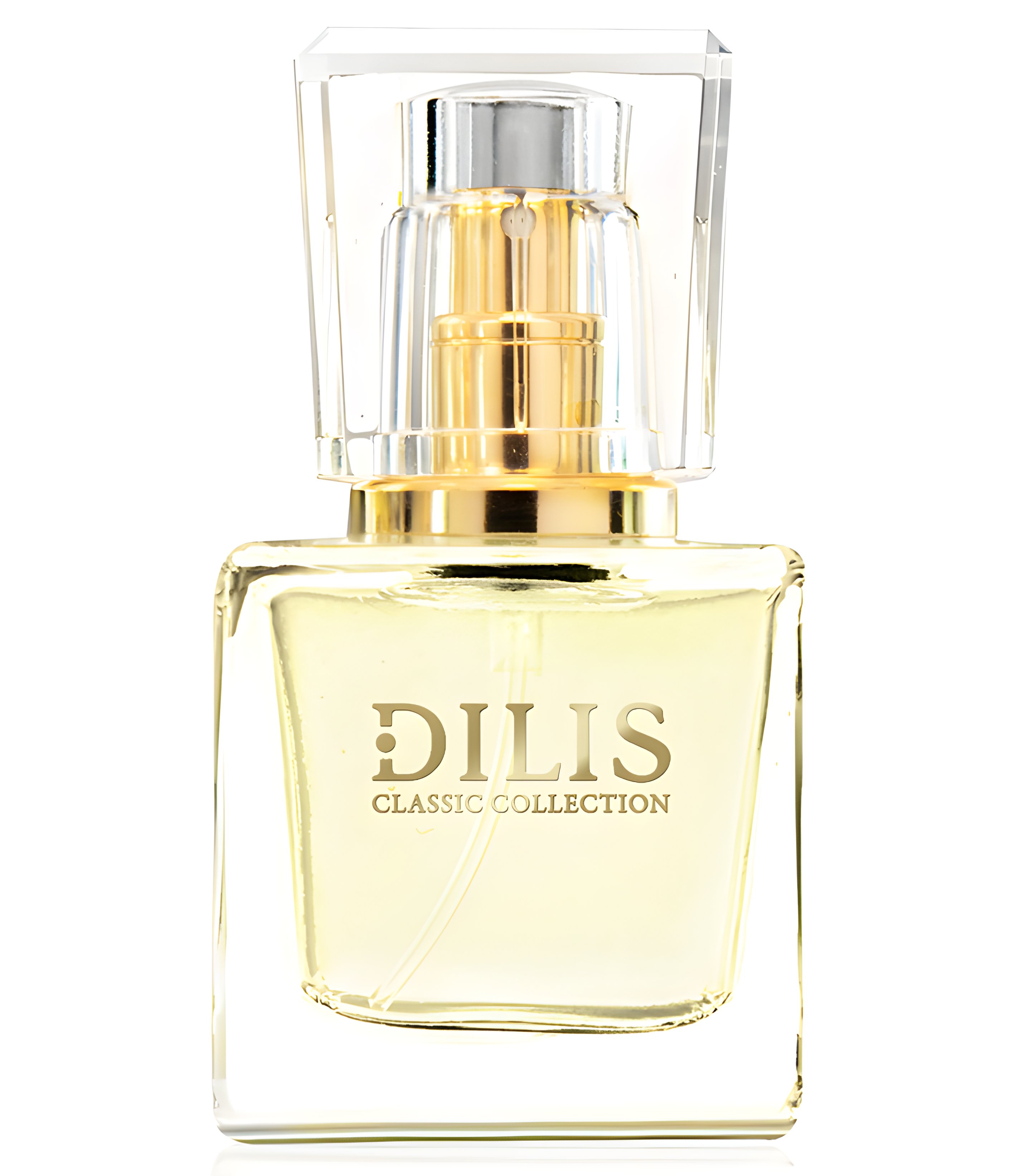 Picture of Dilis Classic Collection No. 19 fragrance