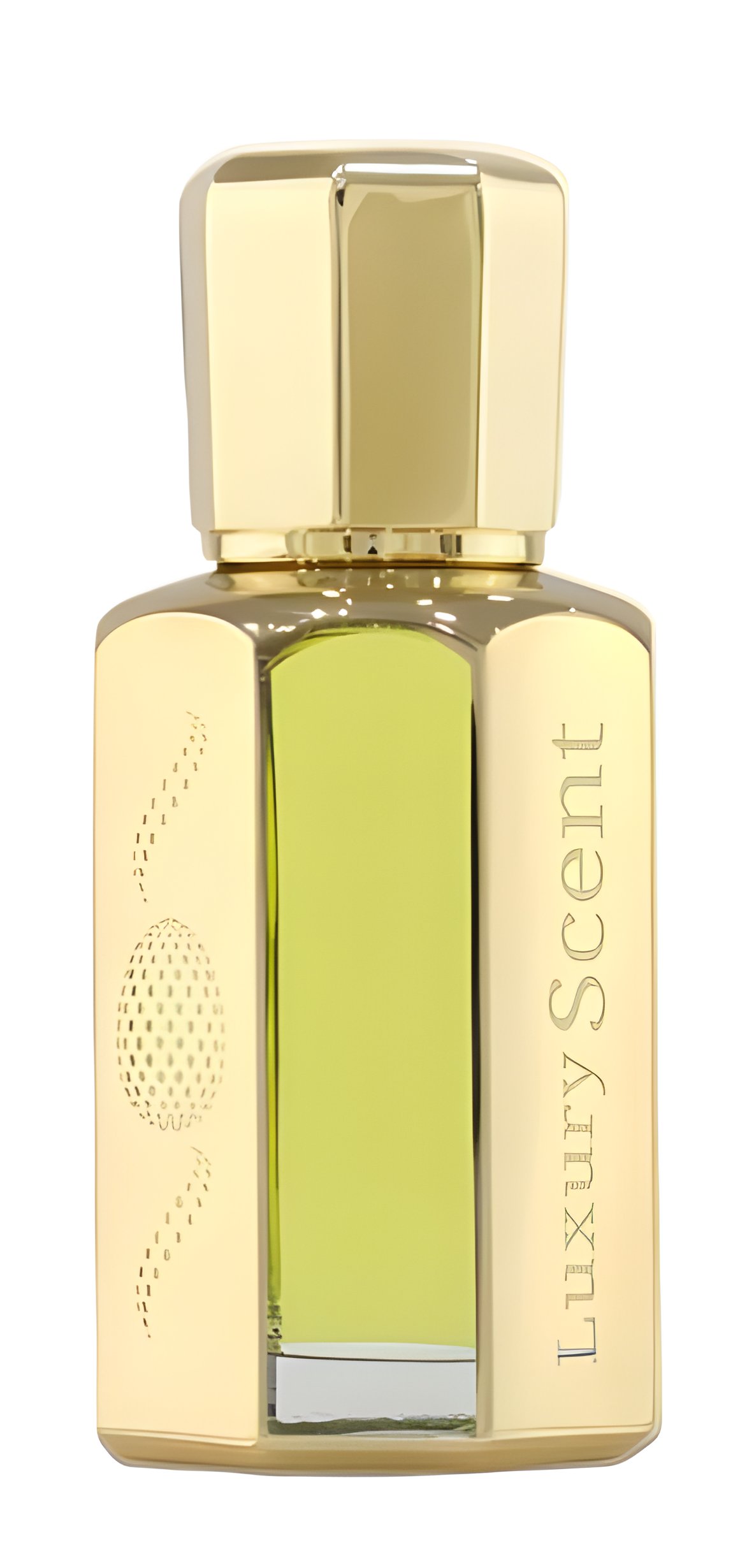 Picture of Alhambra fragrance