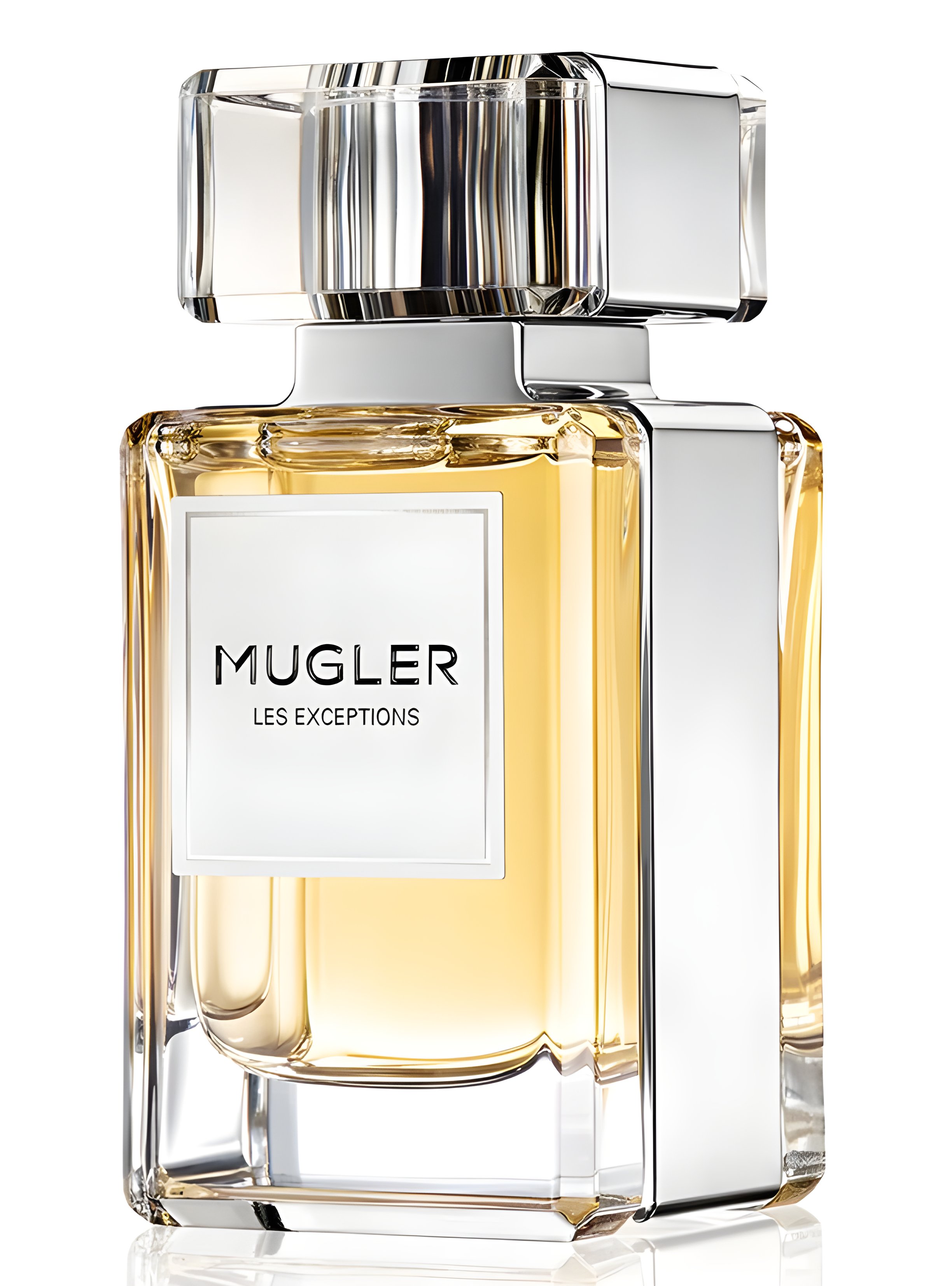 Picture of Fougere Furieuse fragrance