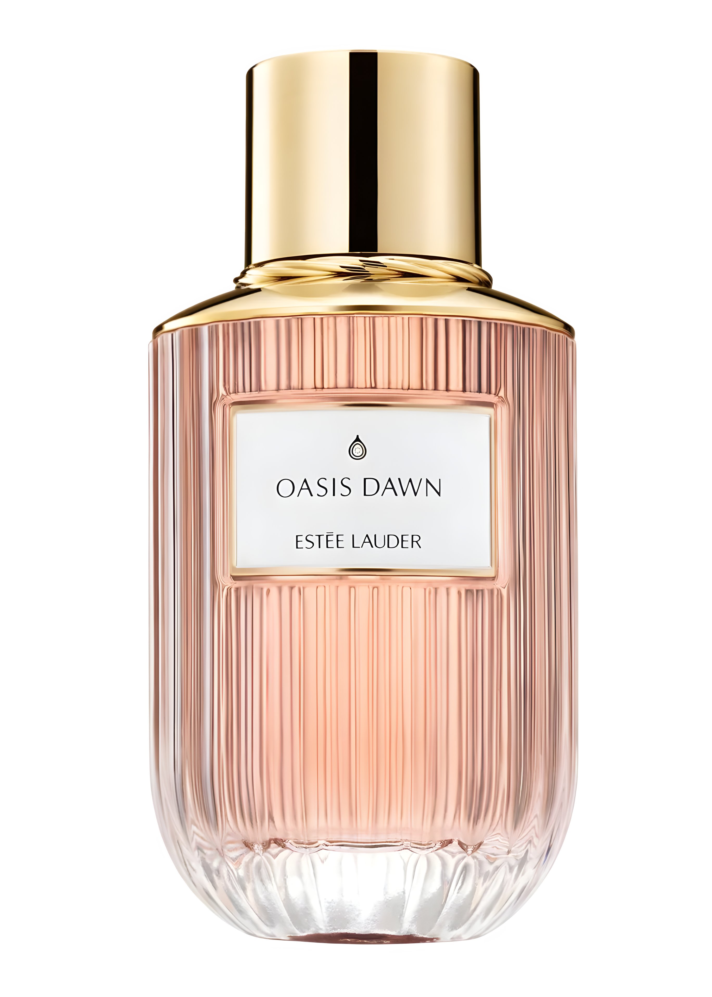 Picture of Oasis Dawn fragrance