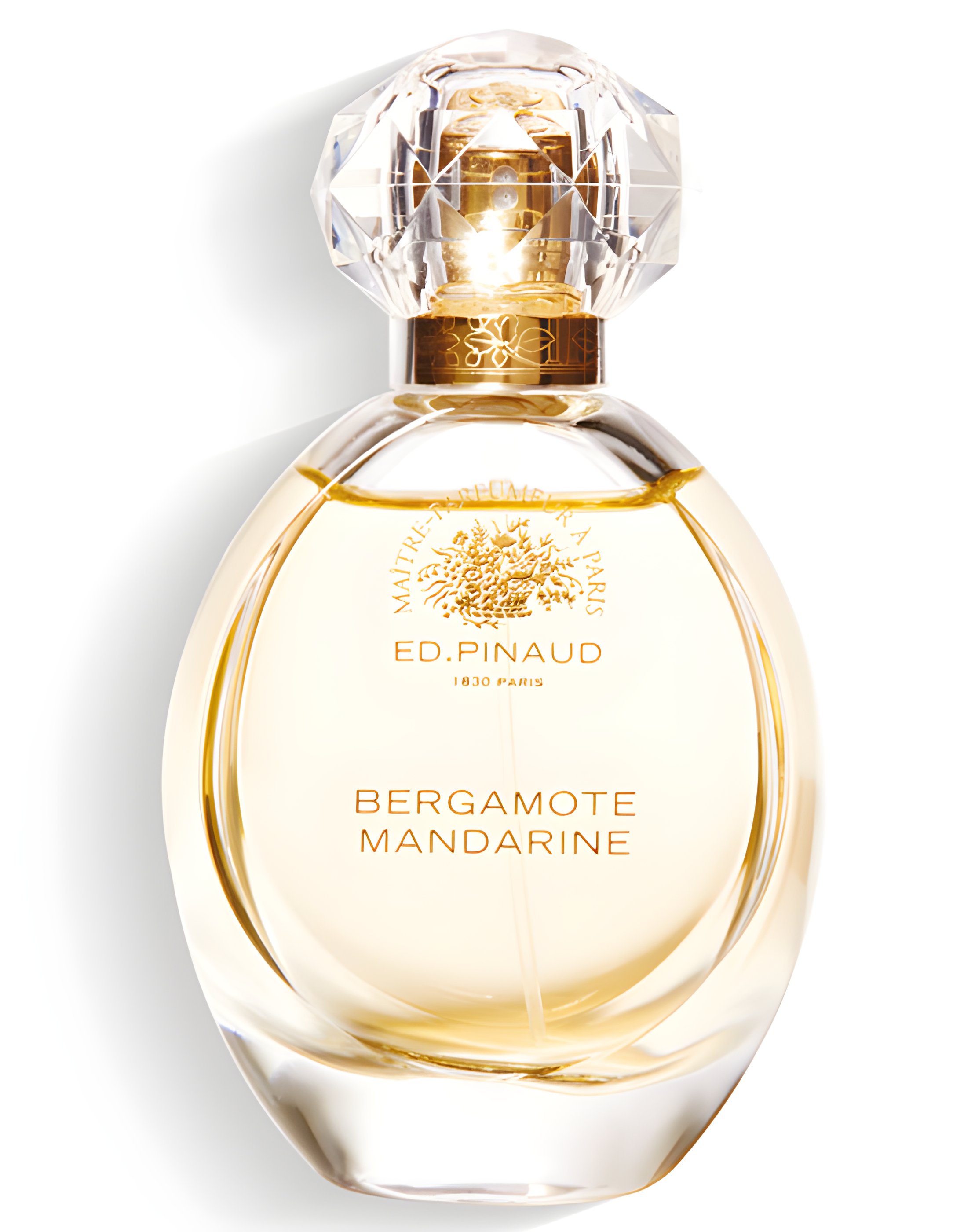 Picture of Bergamote Mandarine fragrance