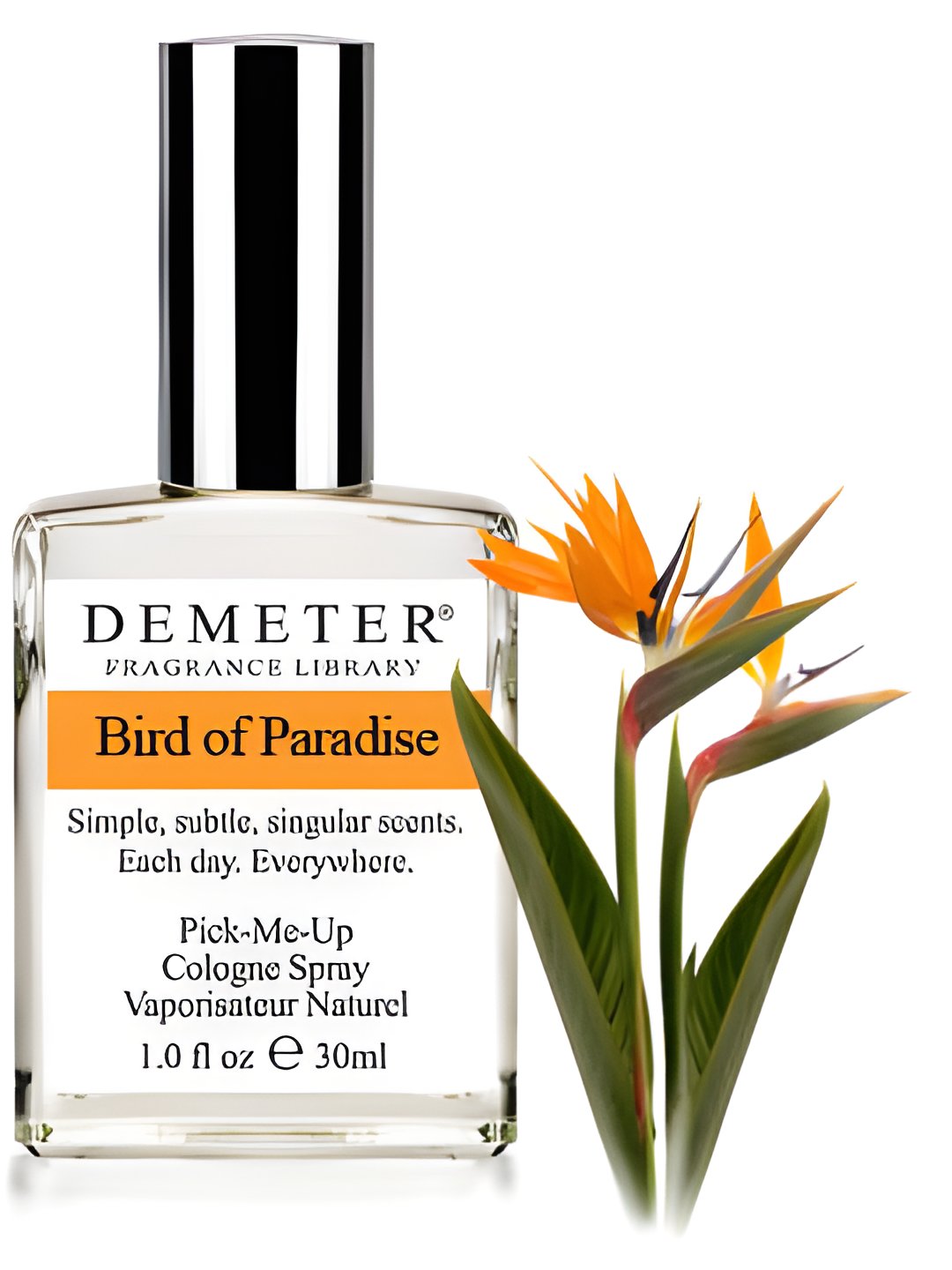 Picture of Bird of Paradise fragrance