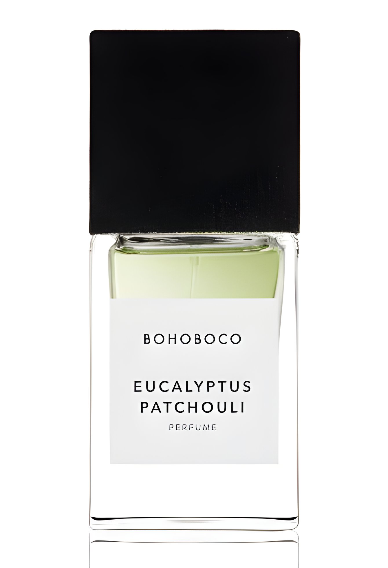 Picture of Eucalyptus Patchouli fragrance