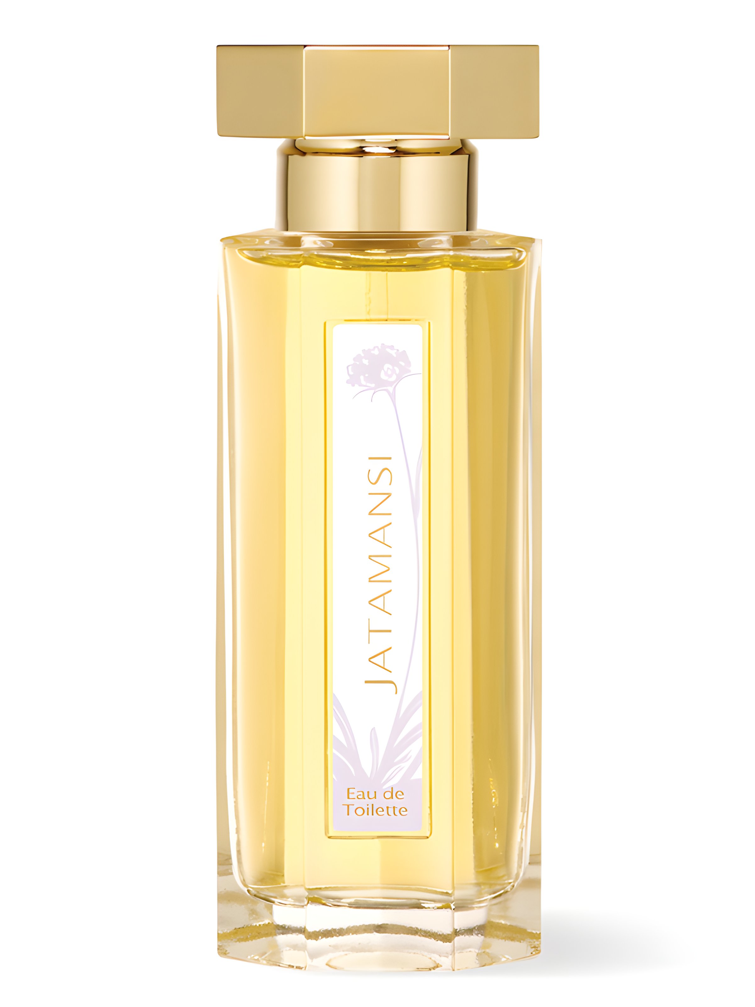 Picture of Jatamansi fragrance