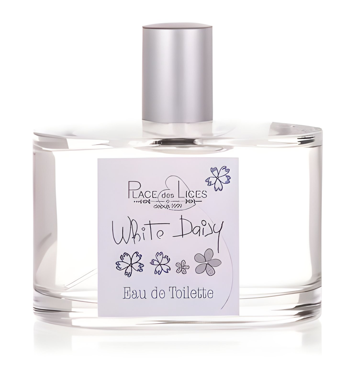 Picture of White Daisy fragrance