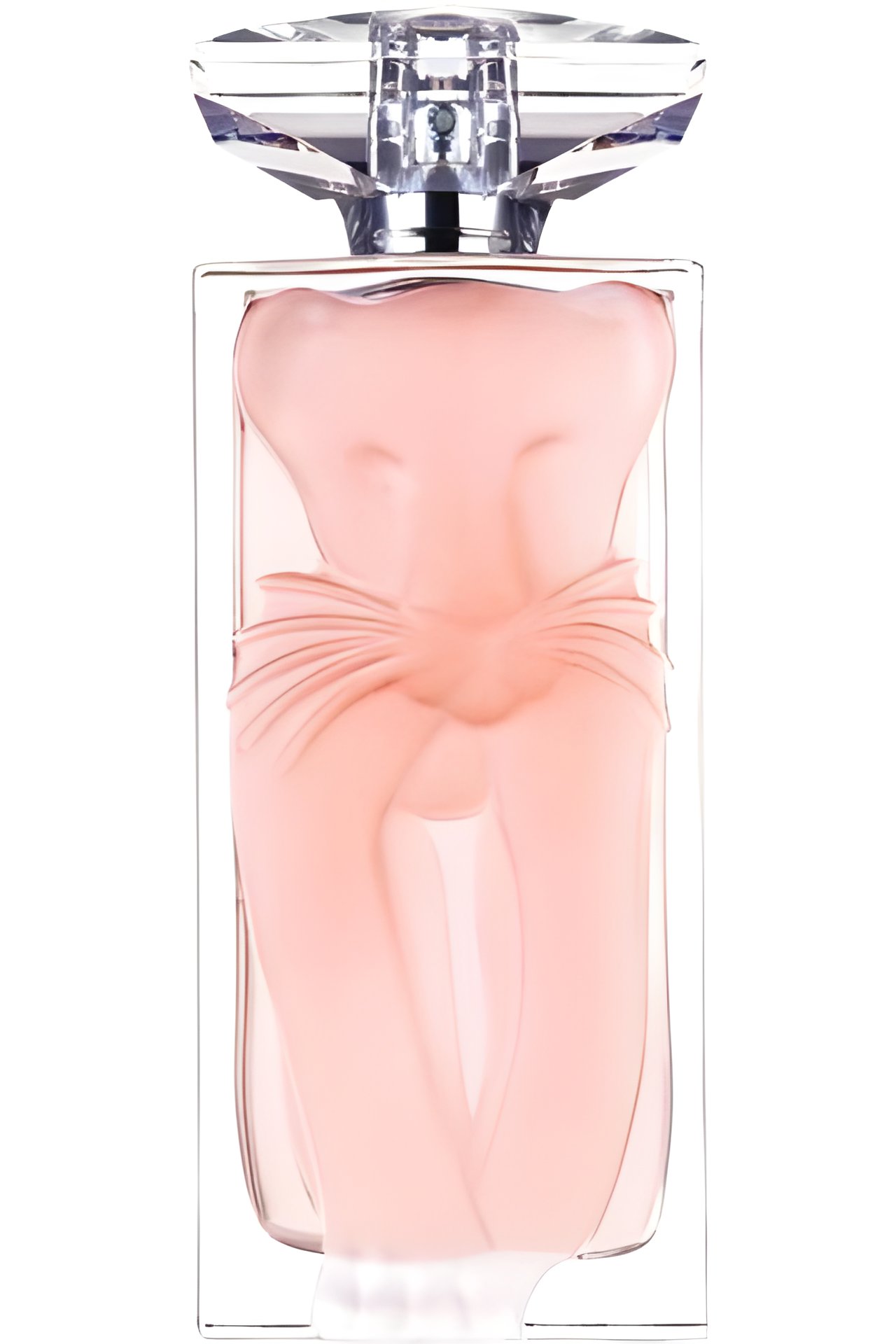 Picture of La Belle Et l'Ocelot Eau de Toilette fragrance