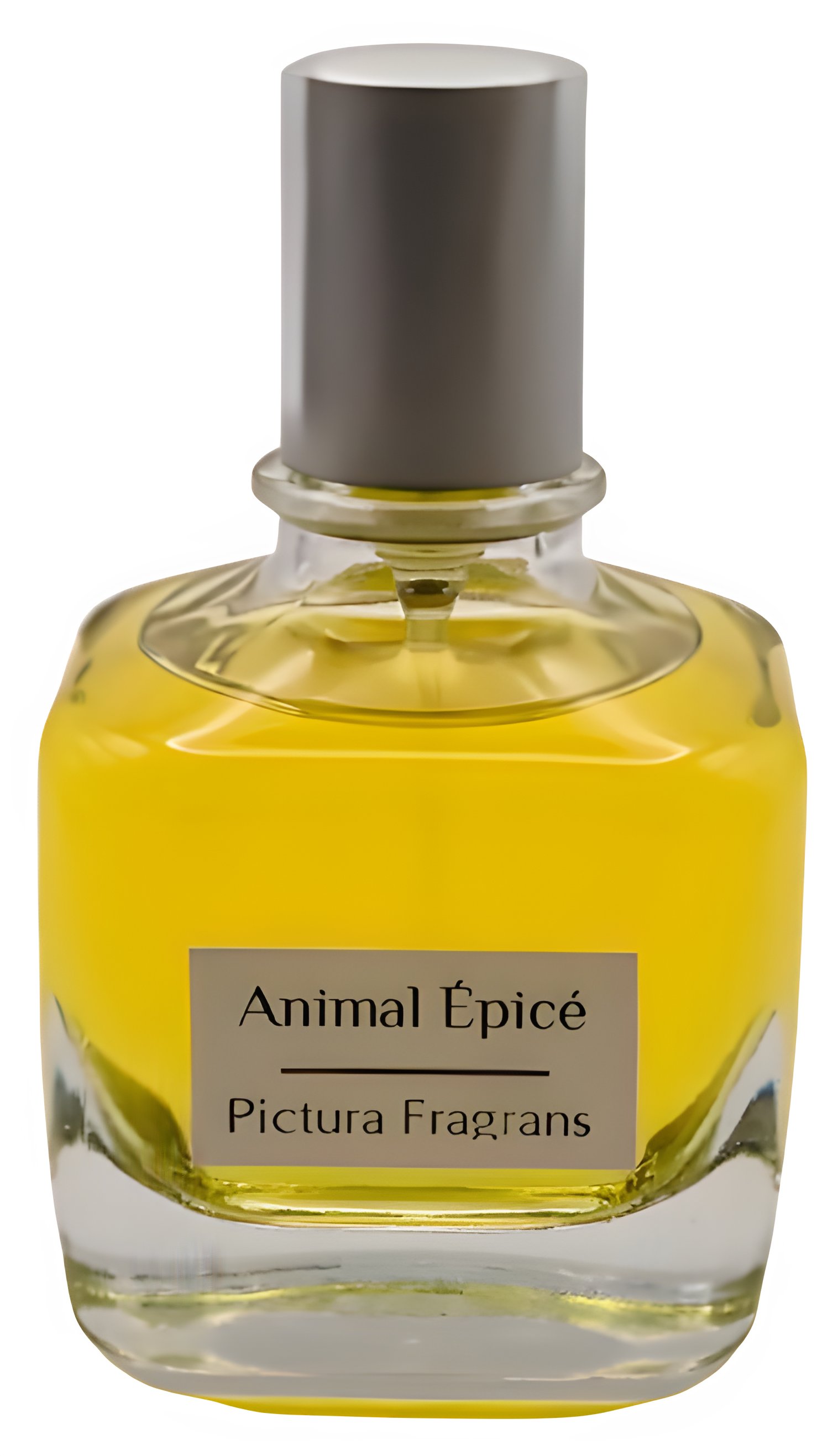 Picture of Animal Épicé fragrance