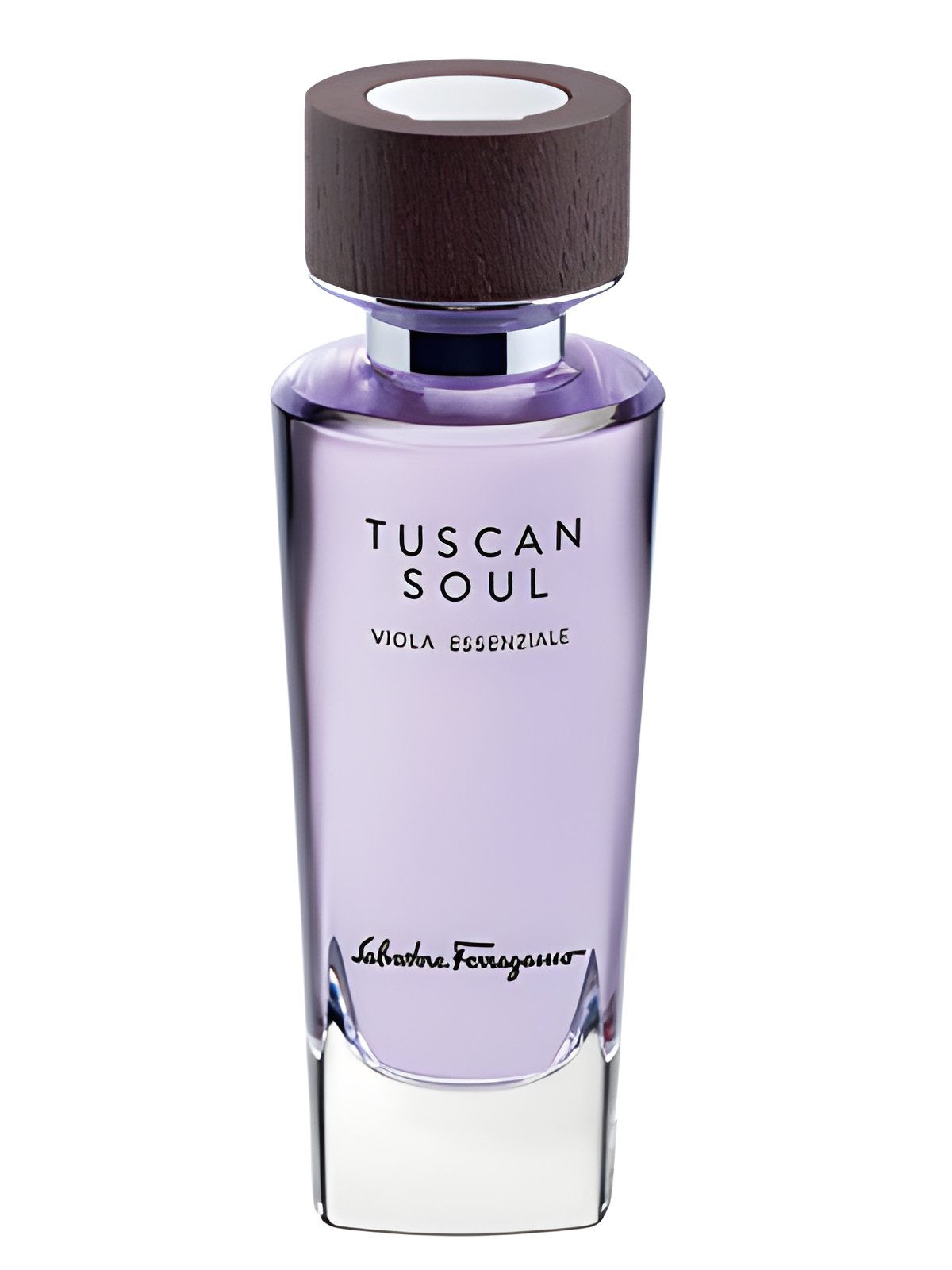 Picture of Viola Essenziale (2013) fragrance