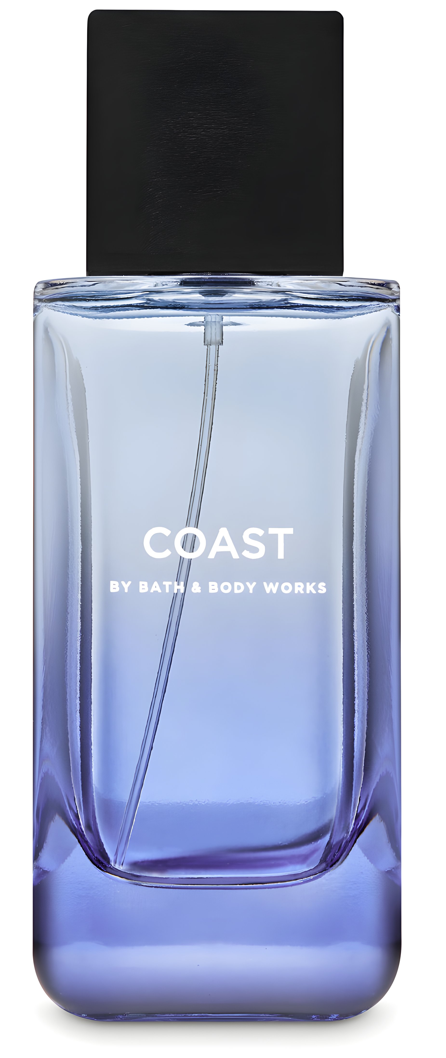 Picture of Coast fragrance