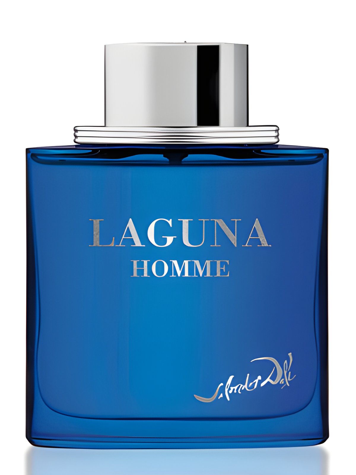 Picture of Laguna Homme fragrance