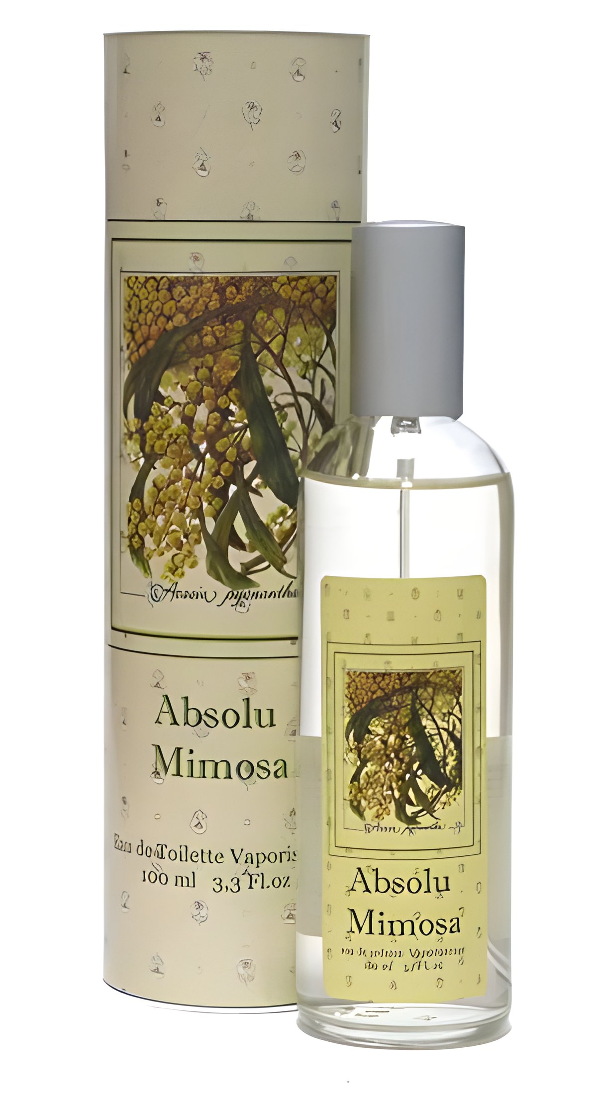 Picture of Absolu Mimosa fragrance