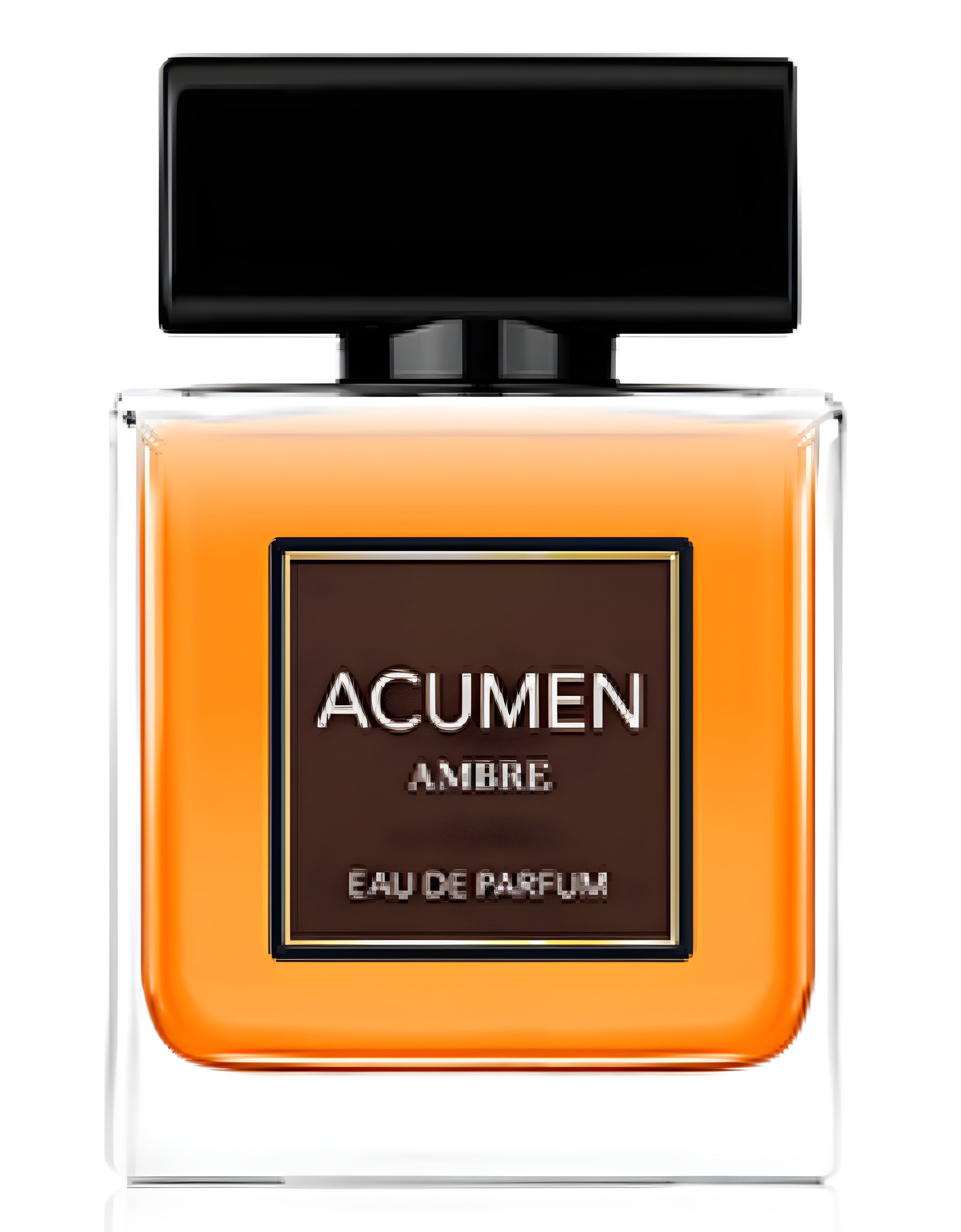 Picture of Acumen Ambre fragrance