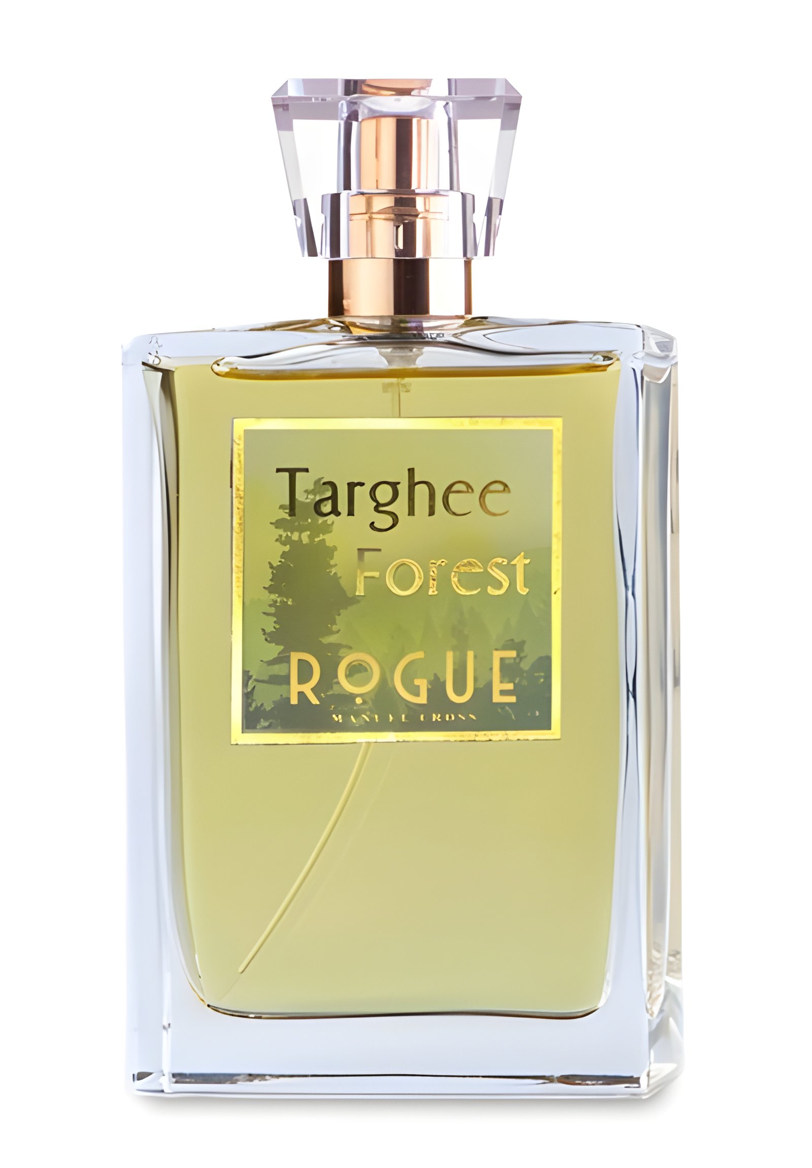 Picture of Targhee Forest fragrance