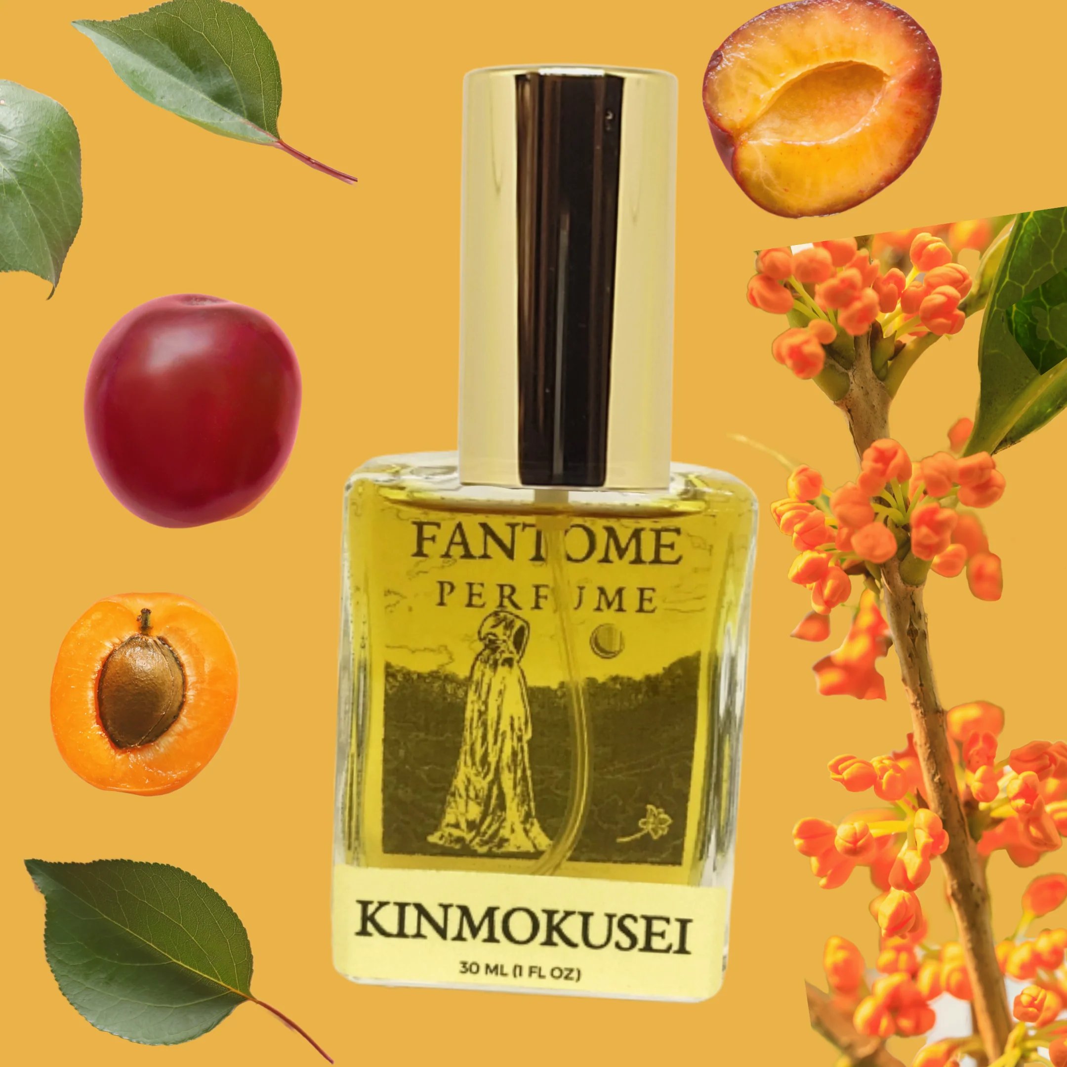 Picture of Kinmokusei fragrance