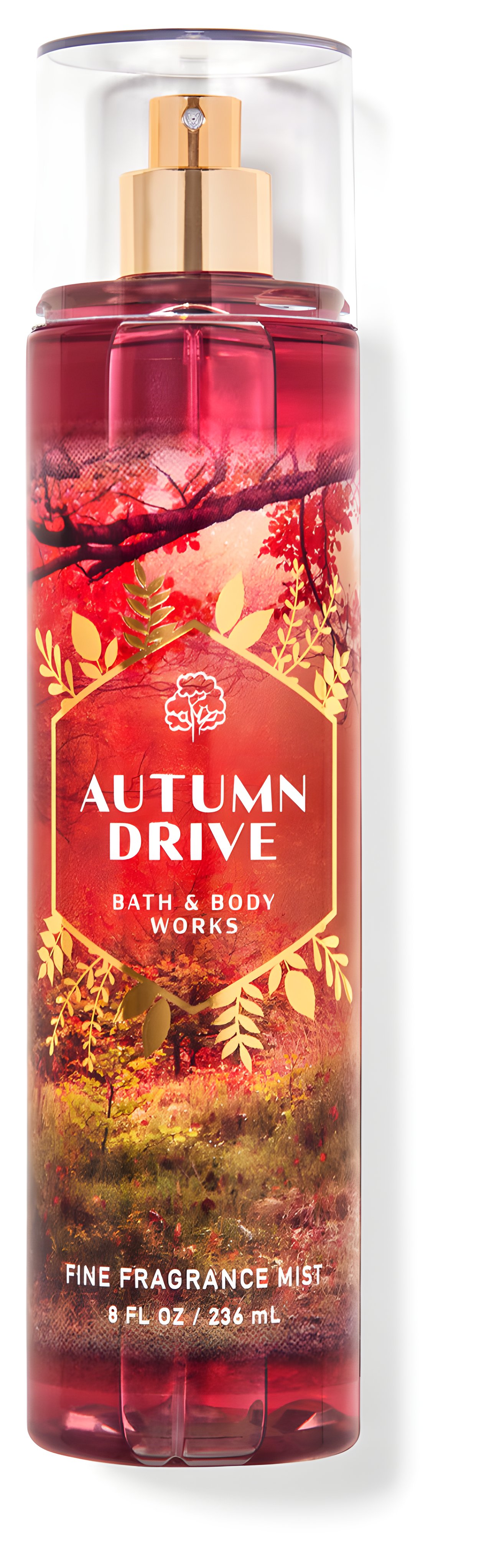 Picture of Autumn Drive fragrance