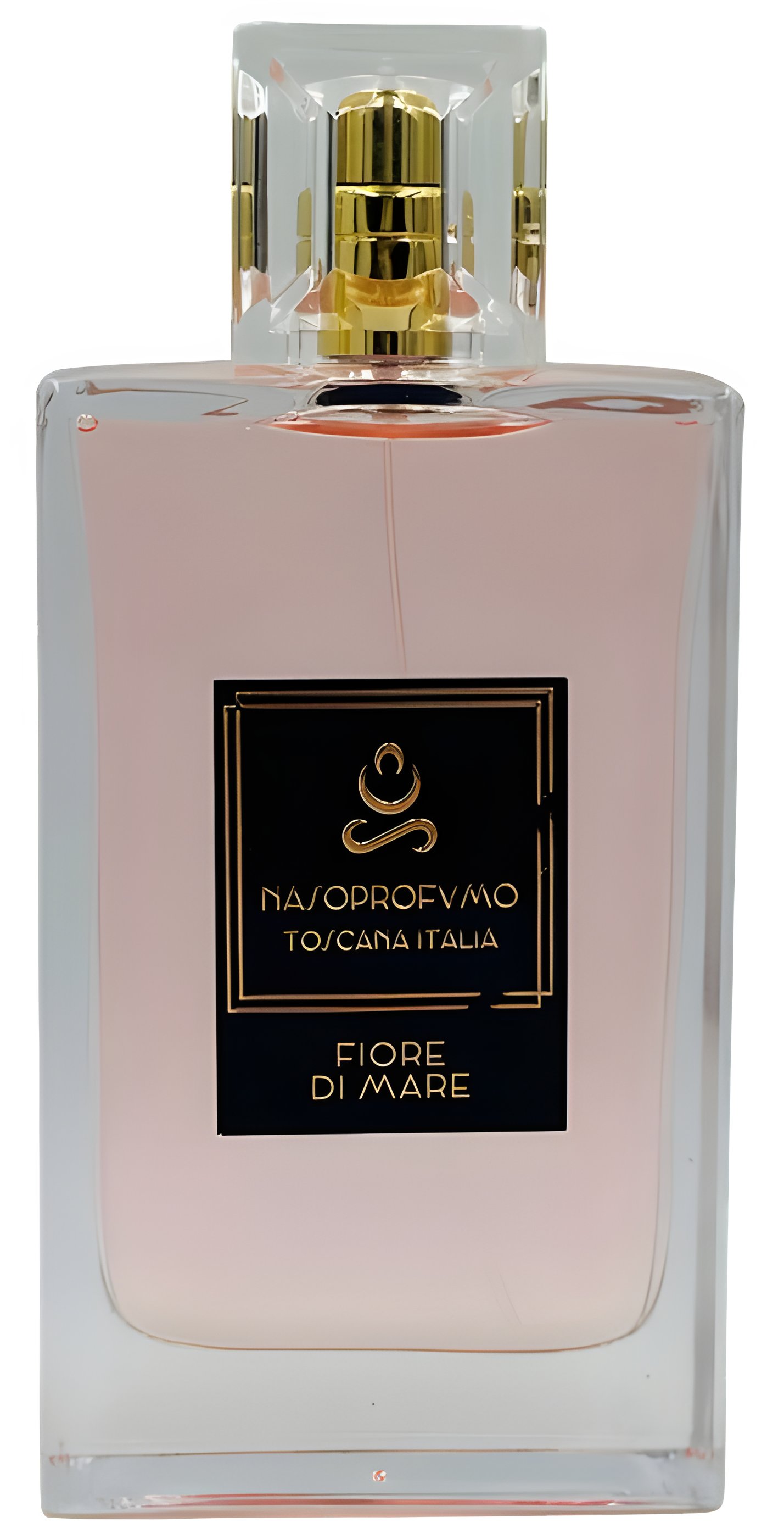 Picture of Fiore Di Mare fragrance