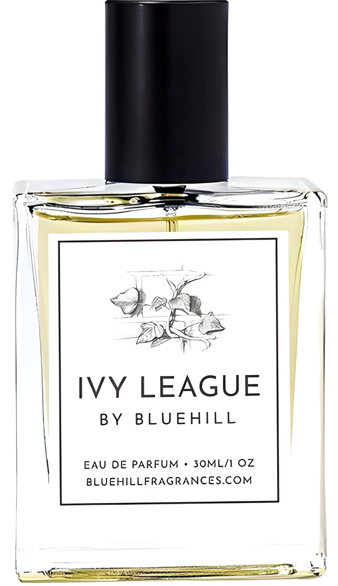 Picture of Ivy League fragrance