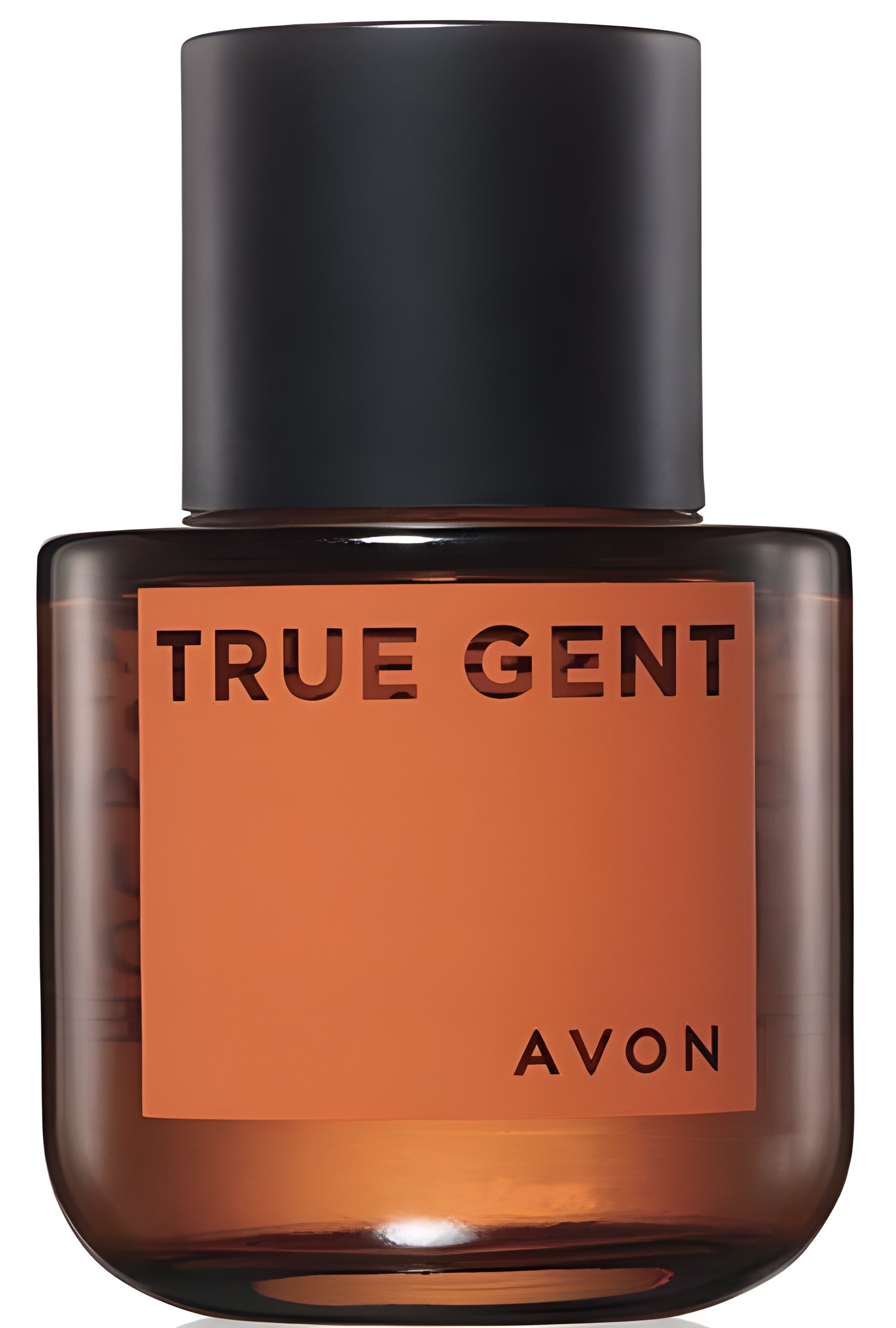 Picture of True Gent fragrance