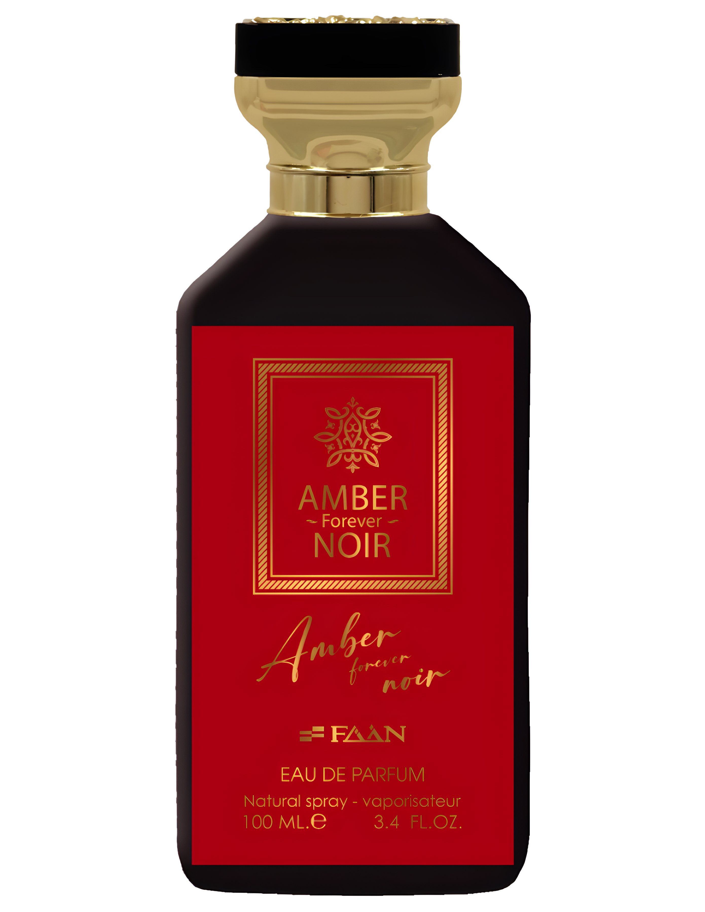 Picture of Amber Forever Noir fragrance