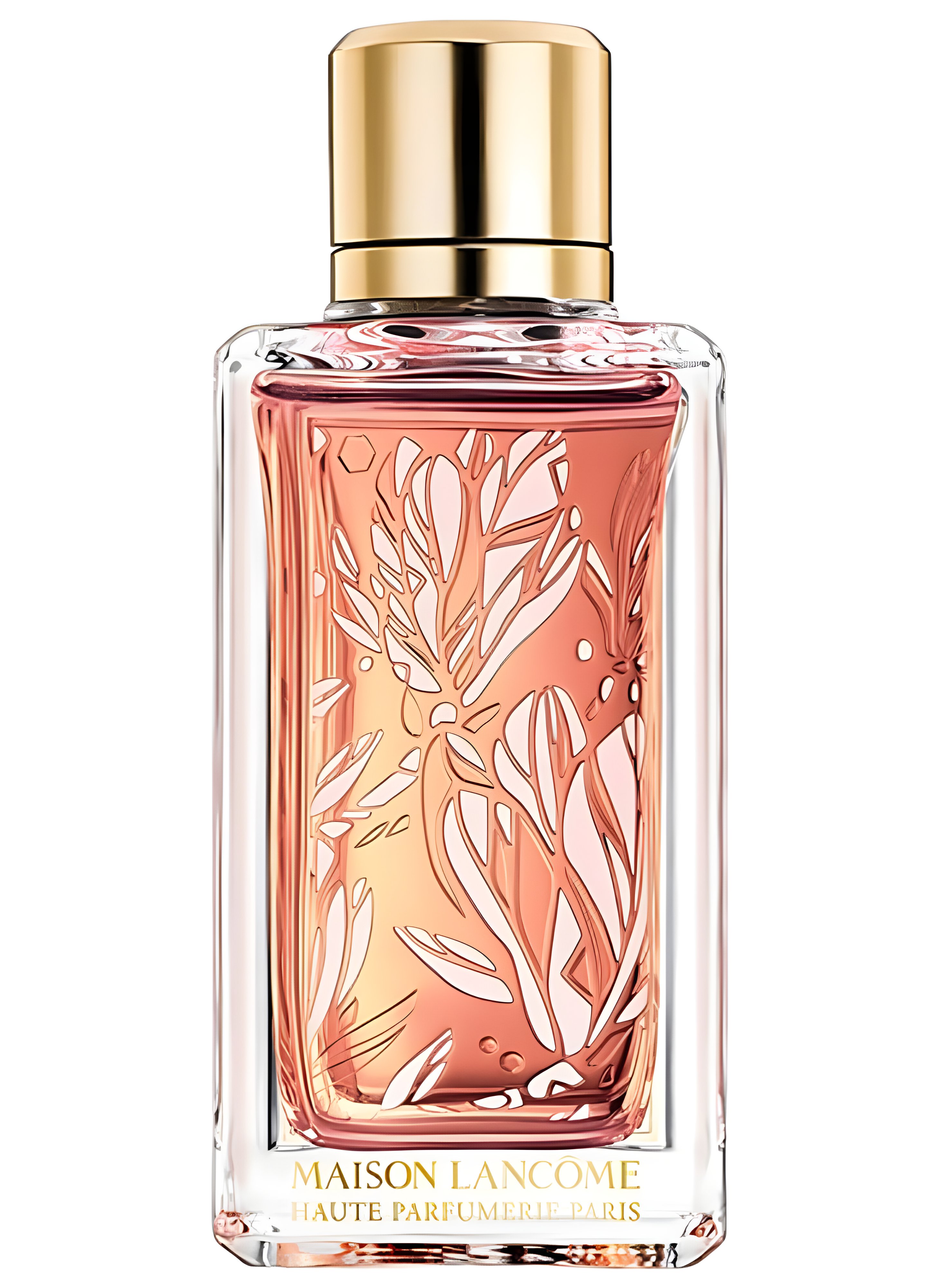 Picture of Magnolia Rosae fragrance