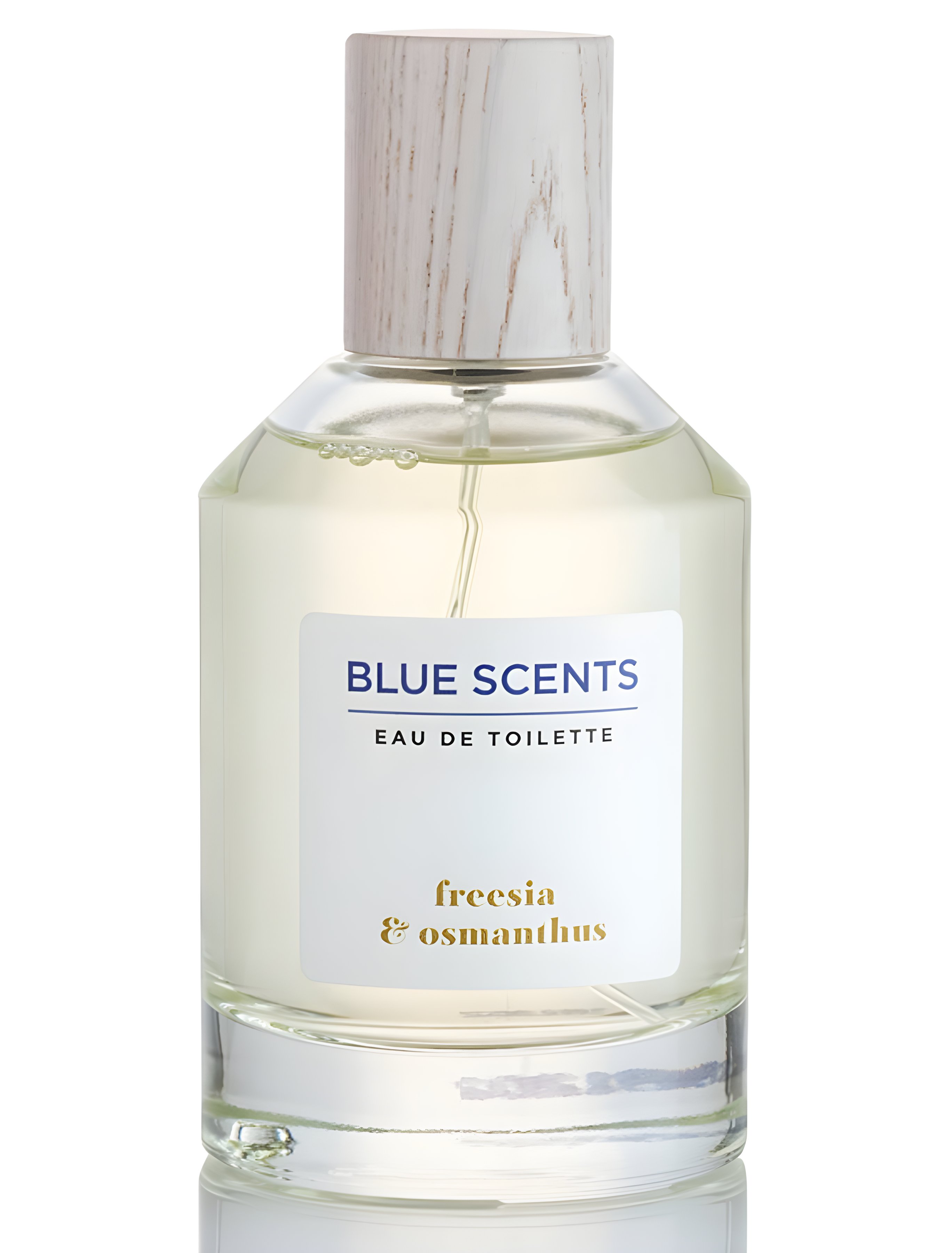 Picture of Freesia & Osmanthus fragrance