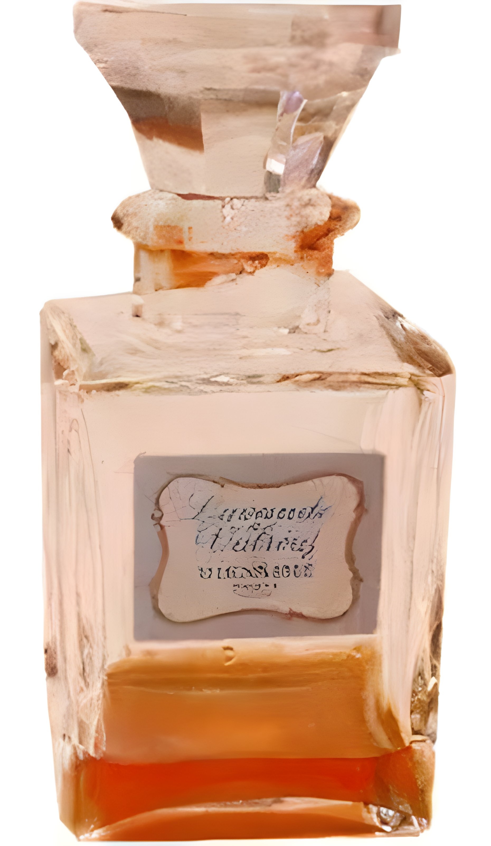 Picture of Lavande de Valréas fragrance