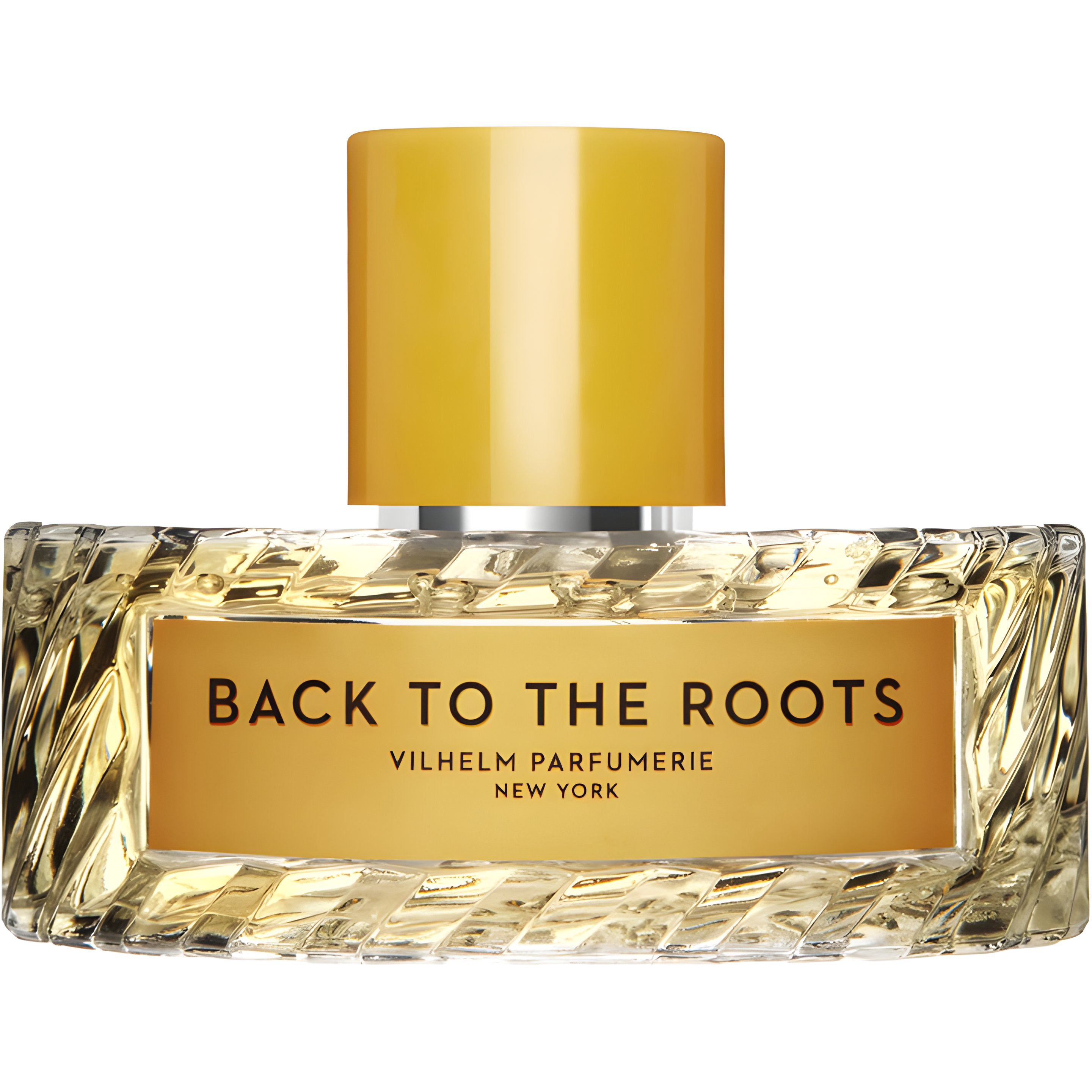 Picture of Back to the Roots fragrance