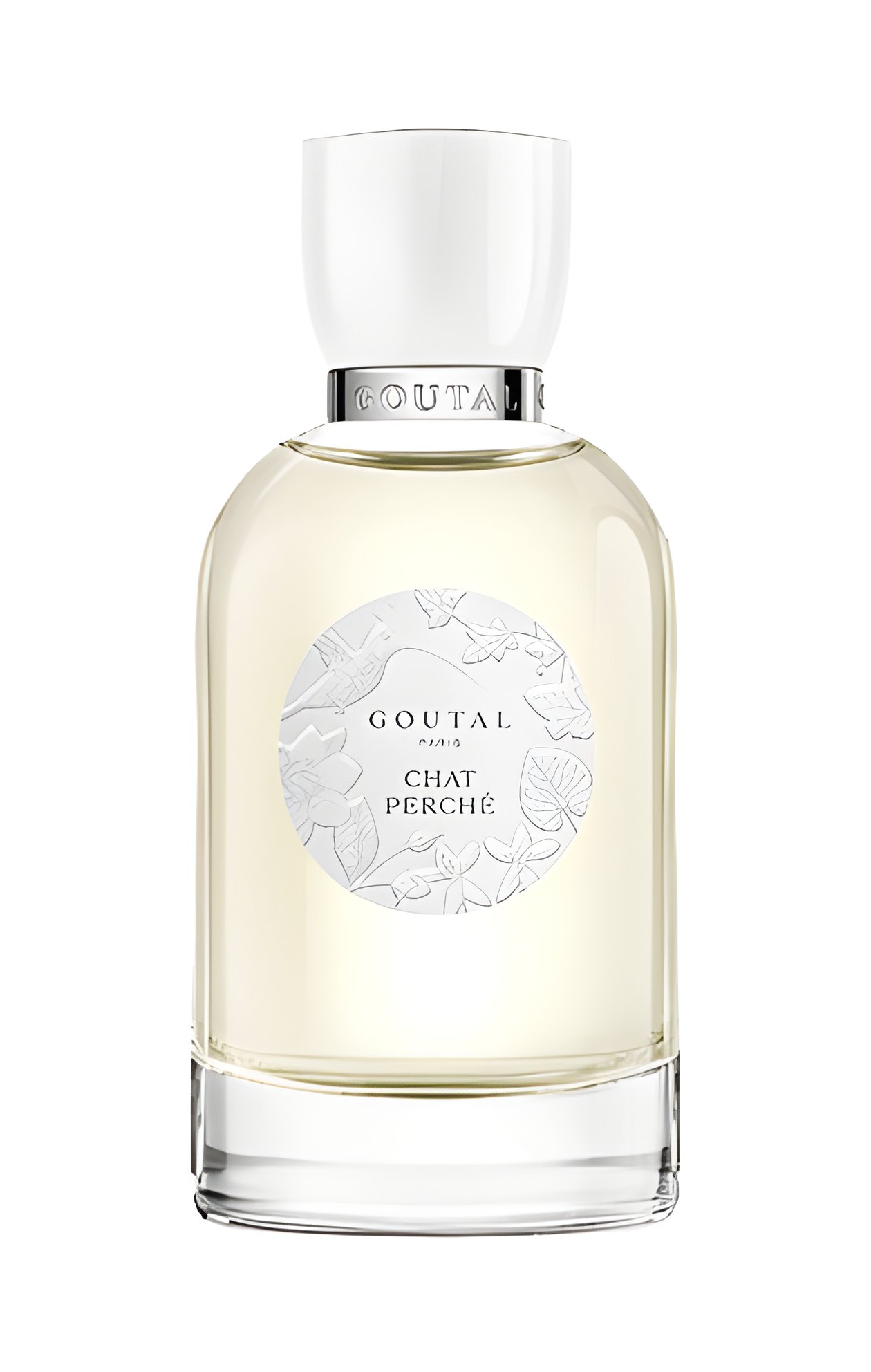 Picture of Chat Perché fragrance