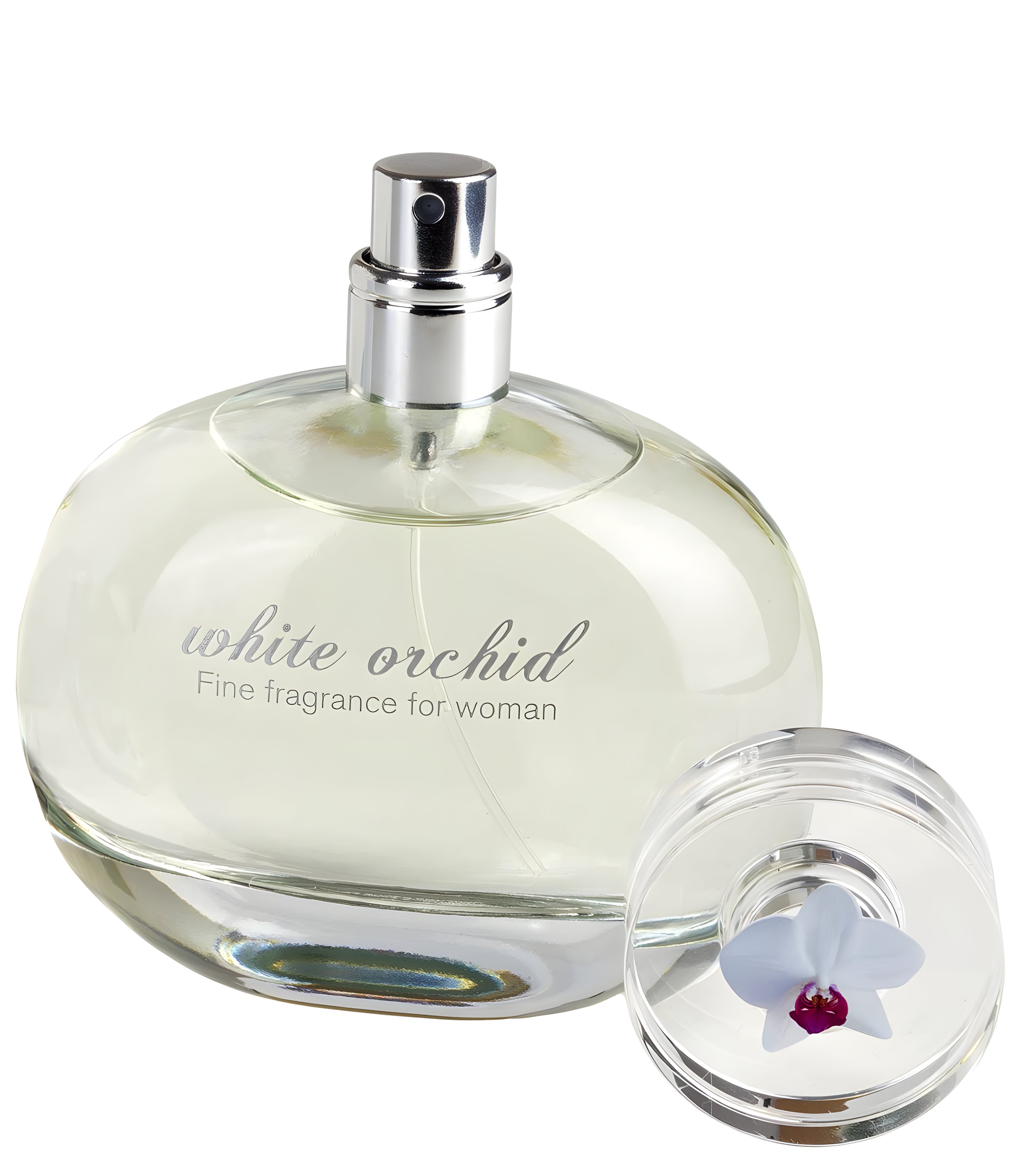 Picture of White Orchid fragrance