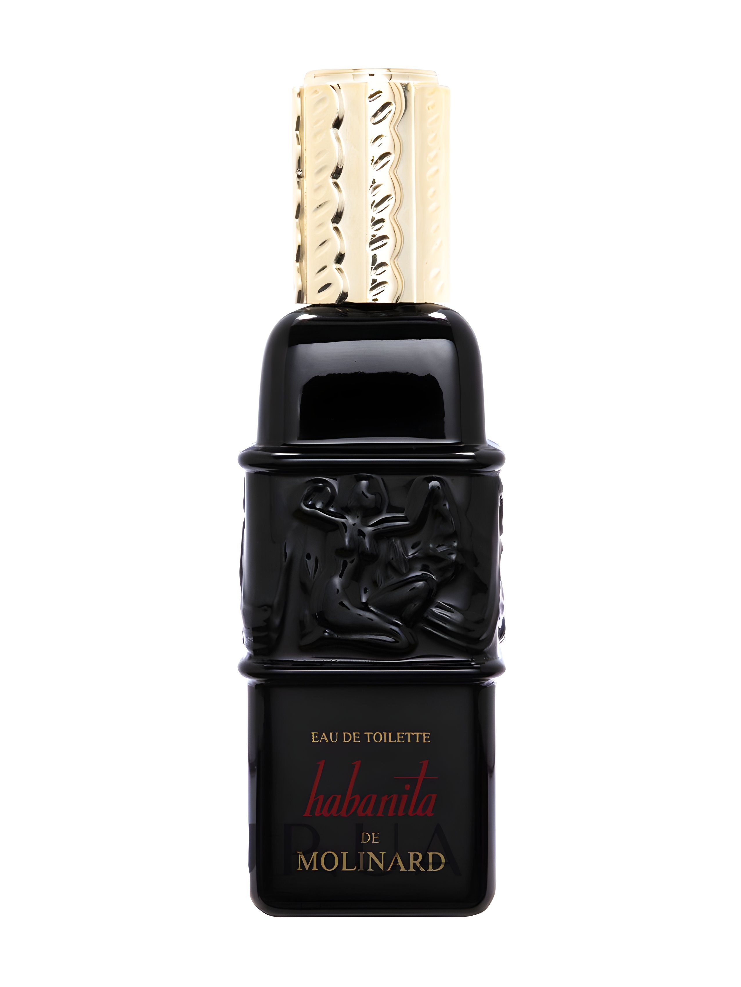 Picture of Habanita fragrance