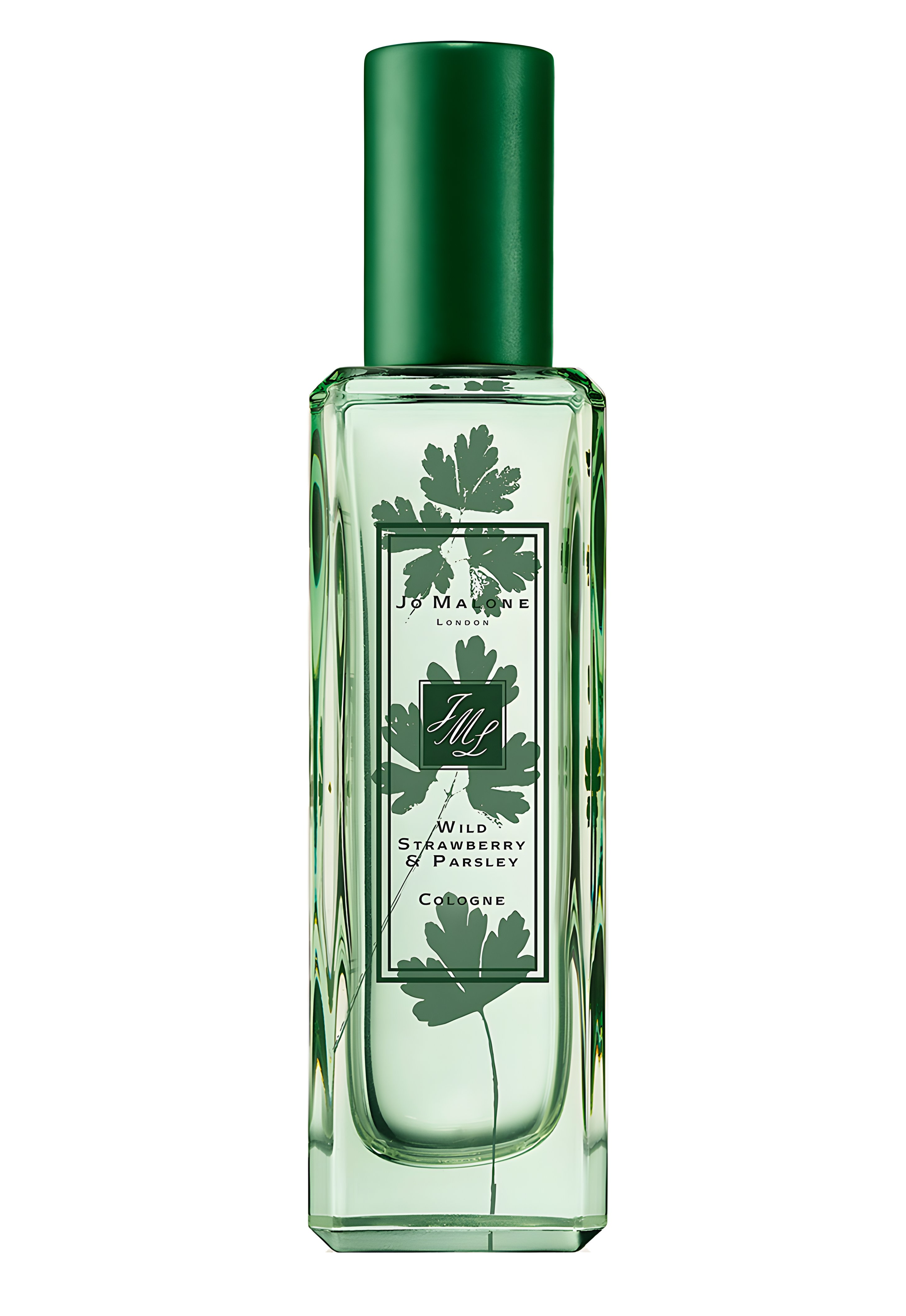 Picture of Wild Strawberry & Parsley fragrance