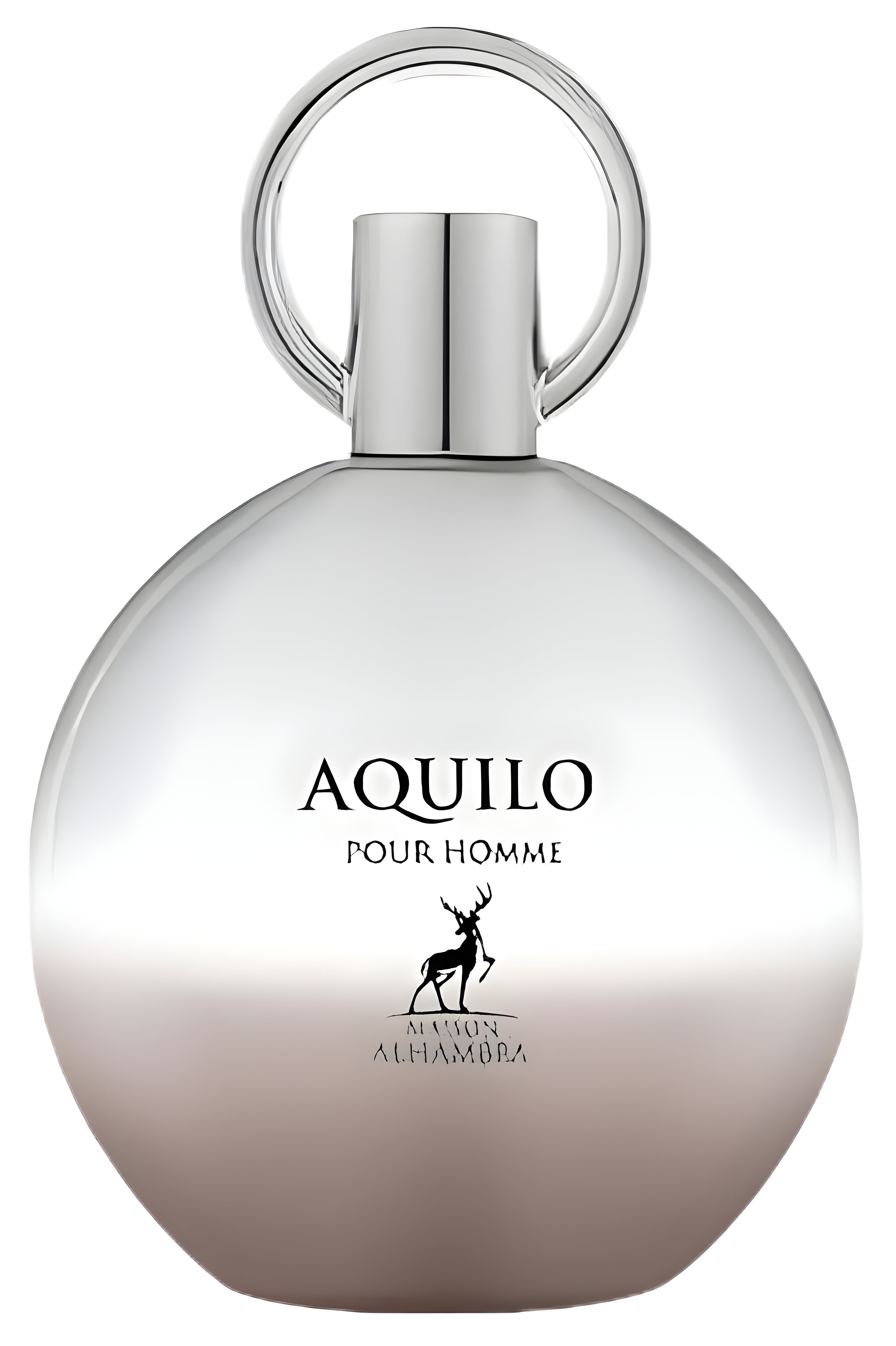 Picture of Aquilo fragrance