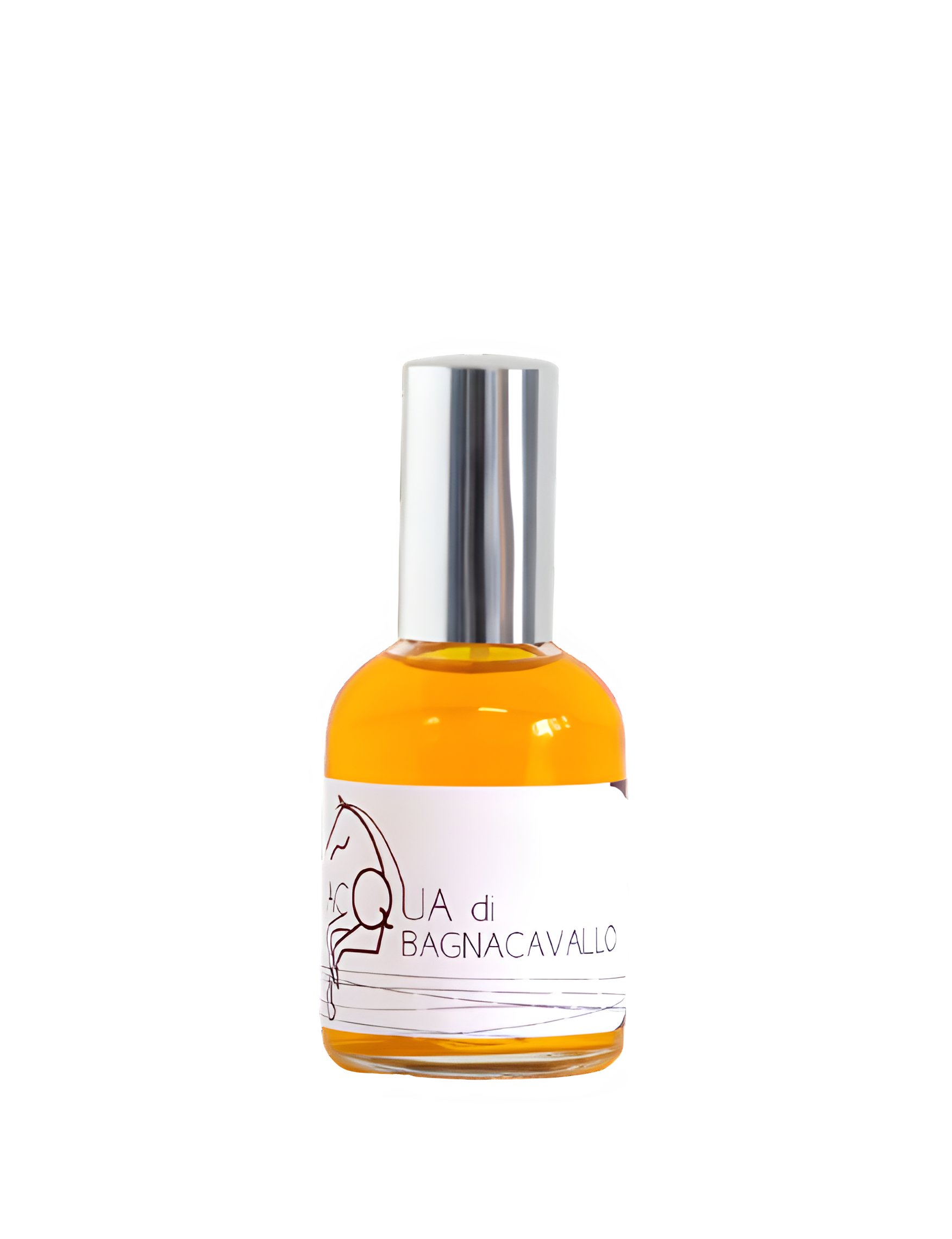 Picture of Acqua Di Bagnacavallo fragrance