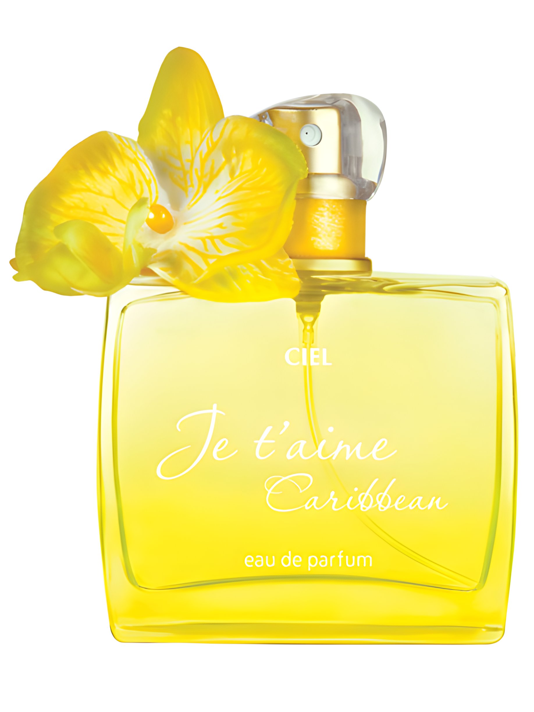 Picture of Je T’aime Caribbean fragrance