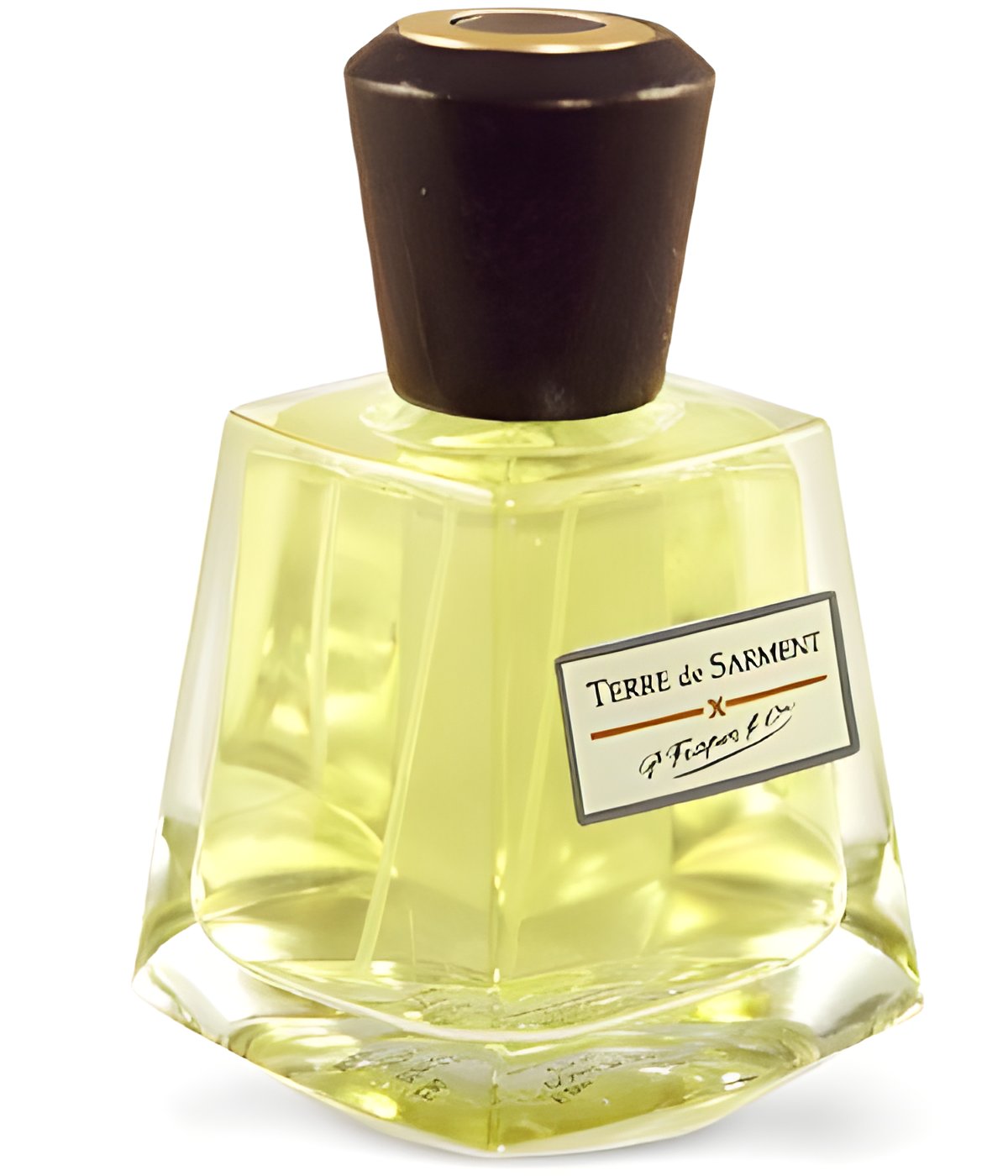 Picture of Terre de Sarment fragrance