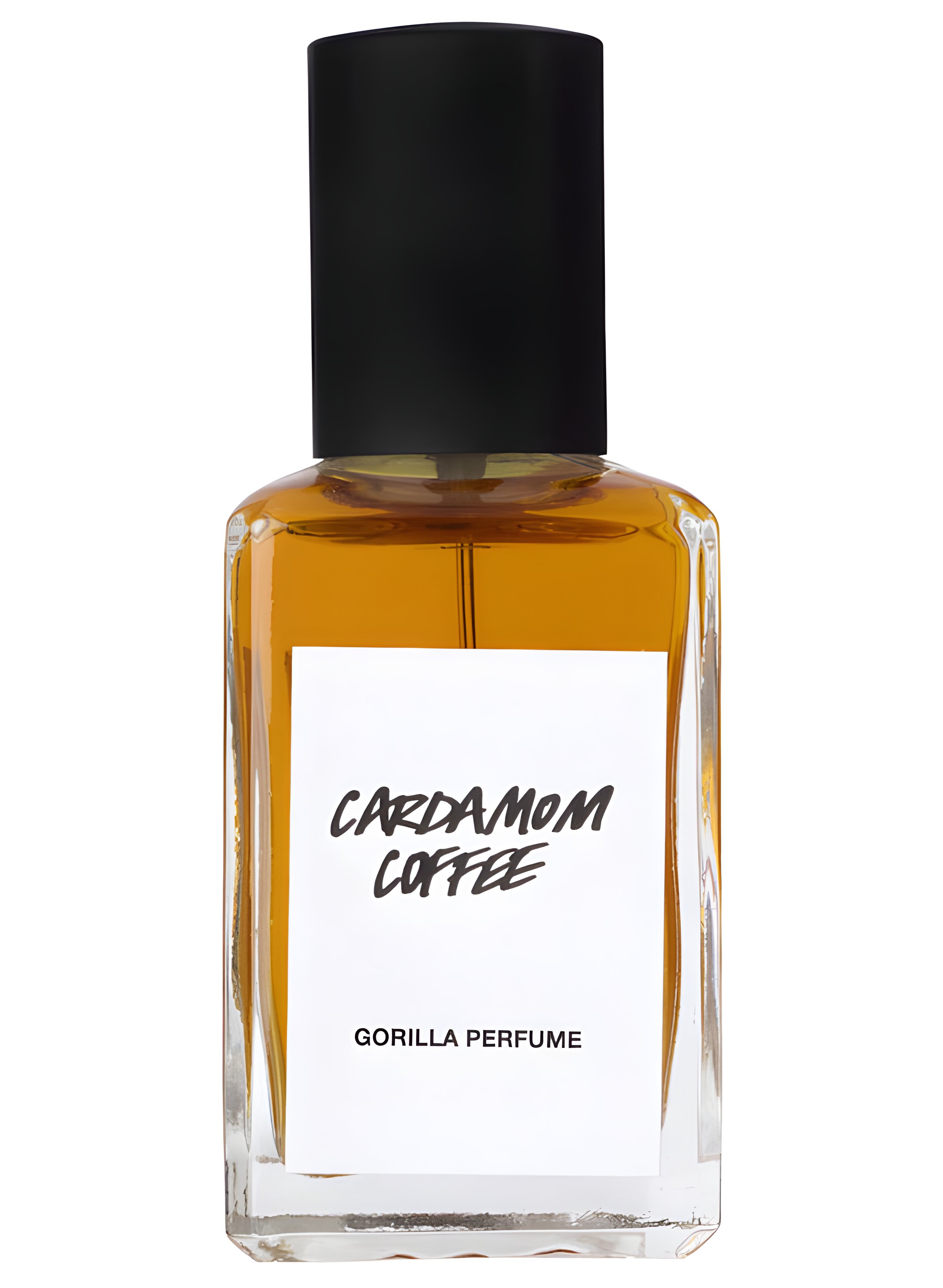 Picture of Cardamom Coffee fragrance