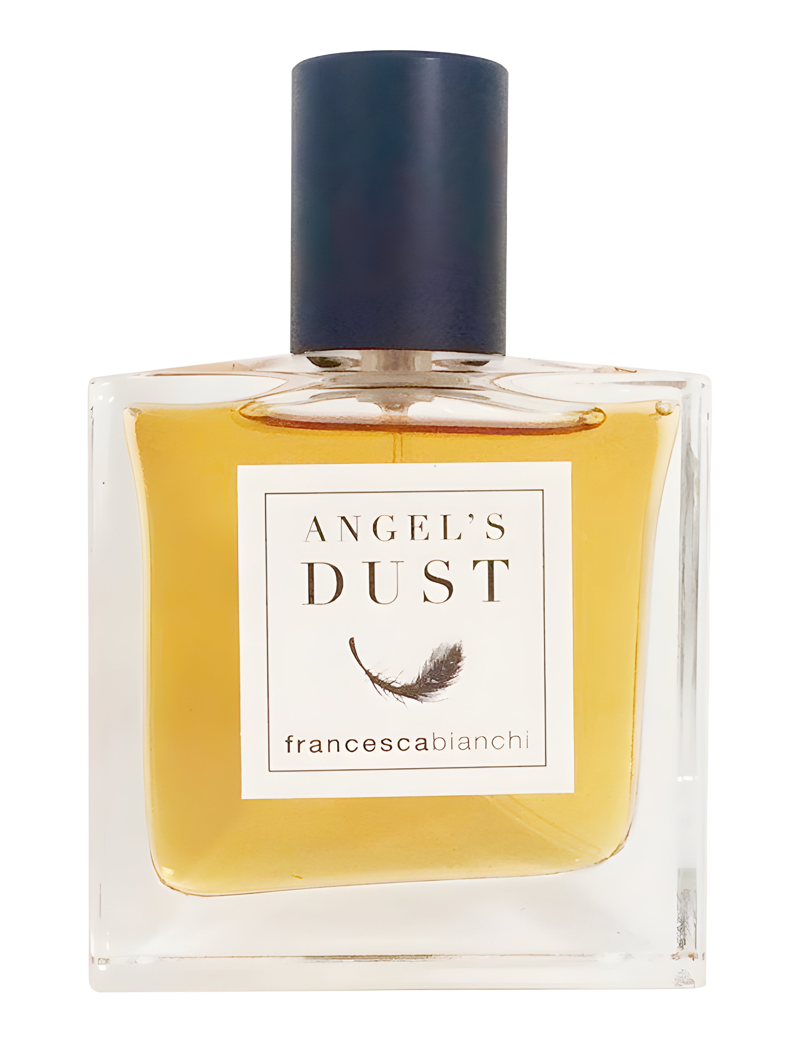 Picture of Angel's Dust fragrance