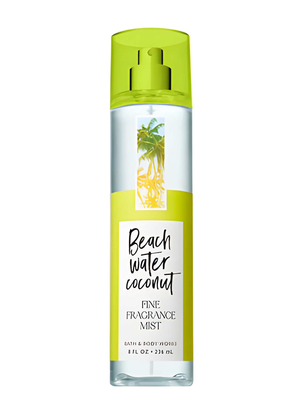 Picture of Beach Water Coconut fragrance