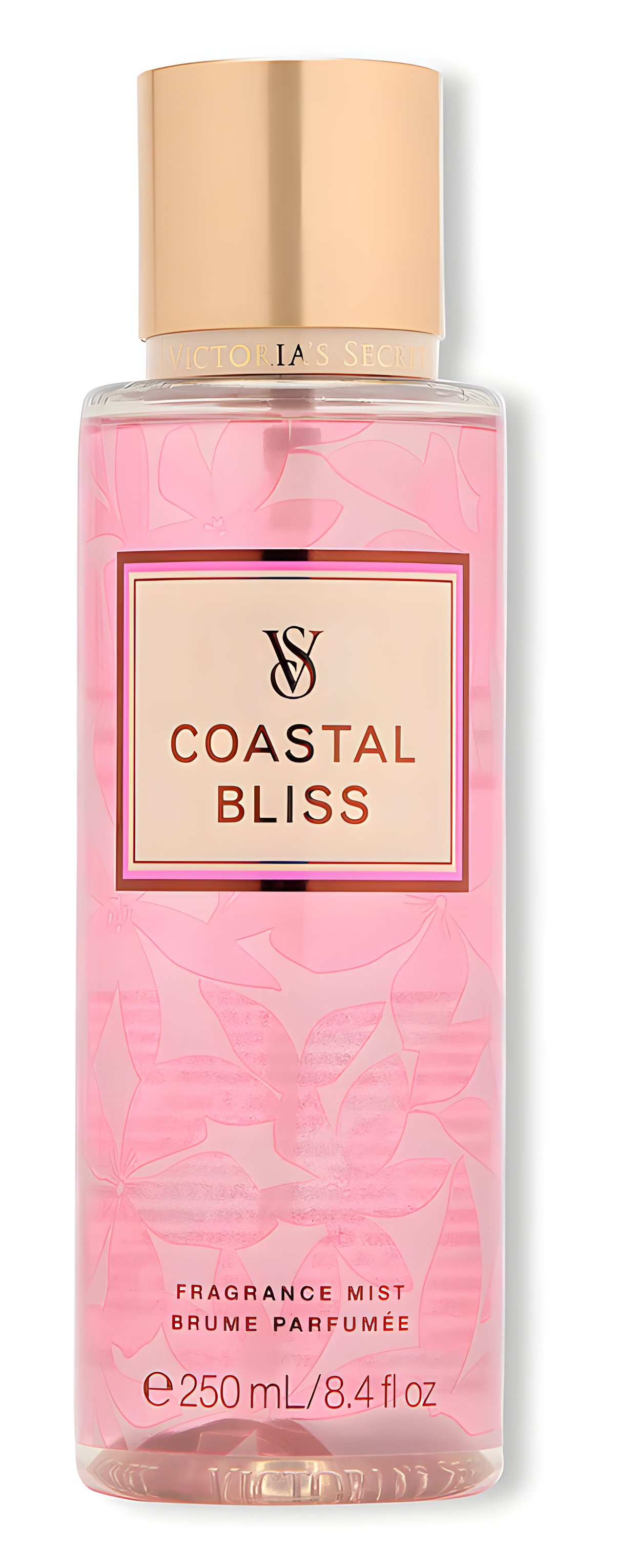 Picture of Coastal Bliss fragrance