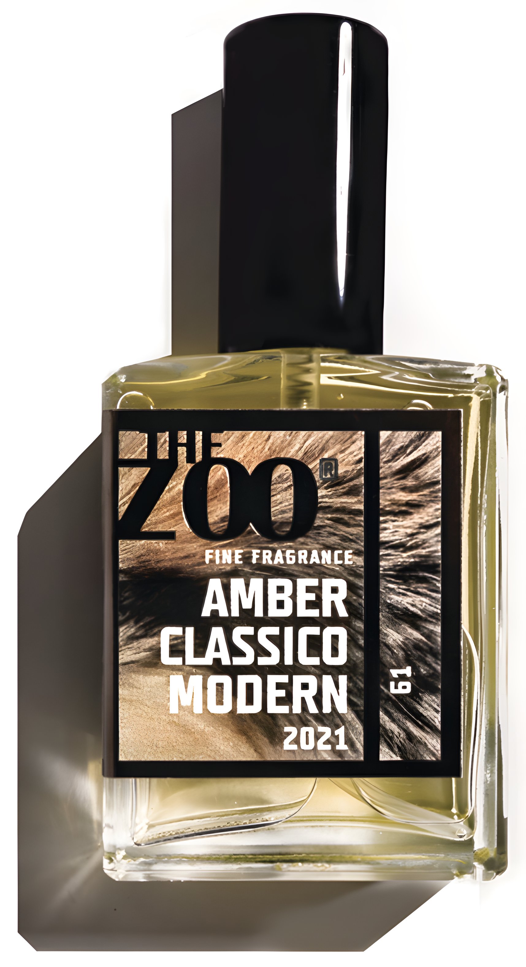 Picture of Amber Classico Modern fragrance