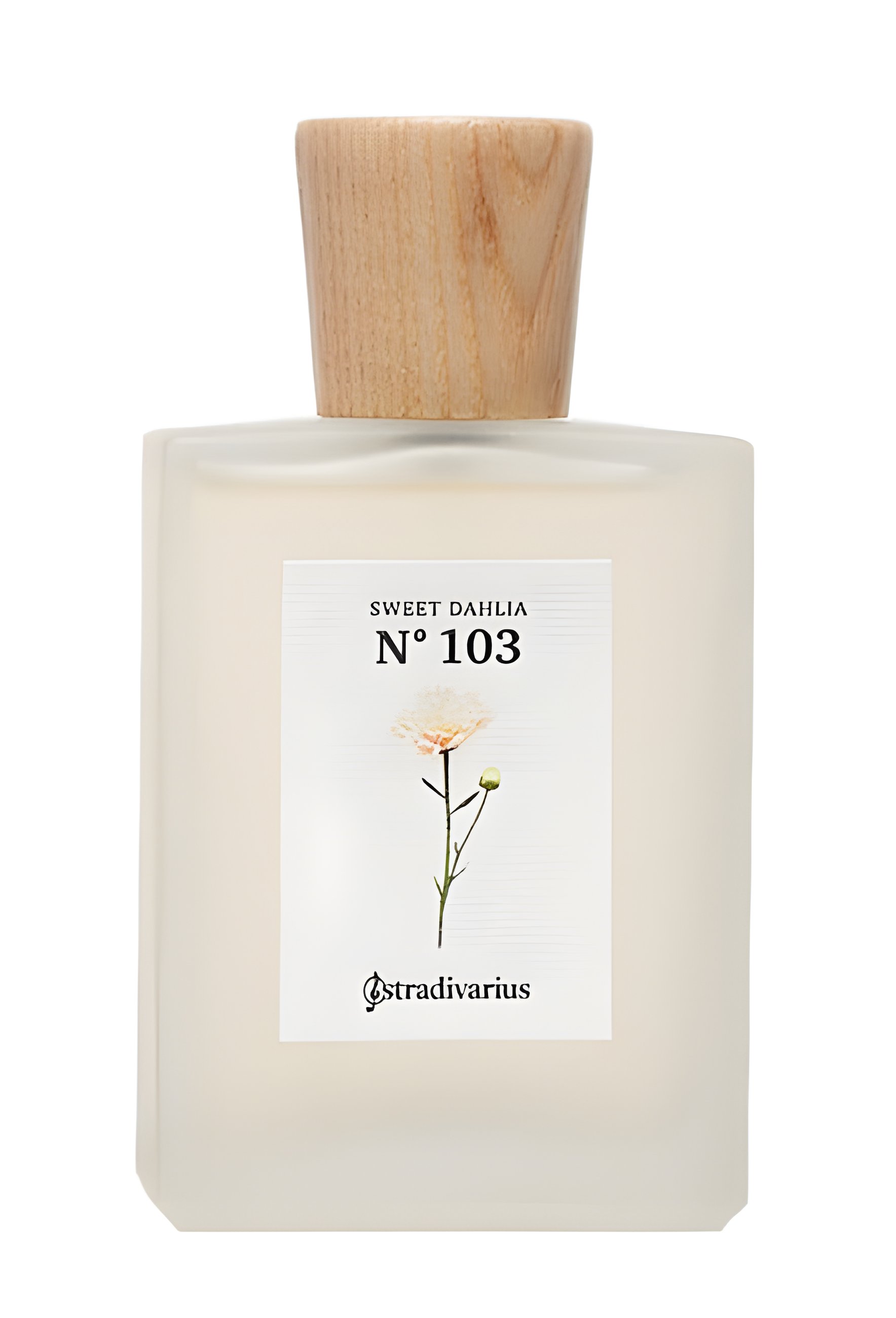 Picture of No 103 Sweet Dahlia fragrance